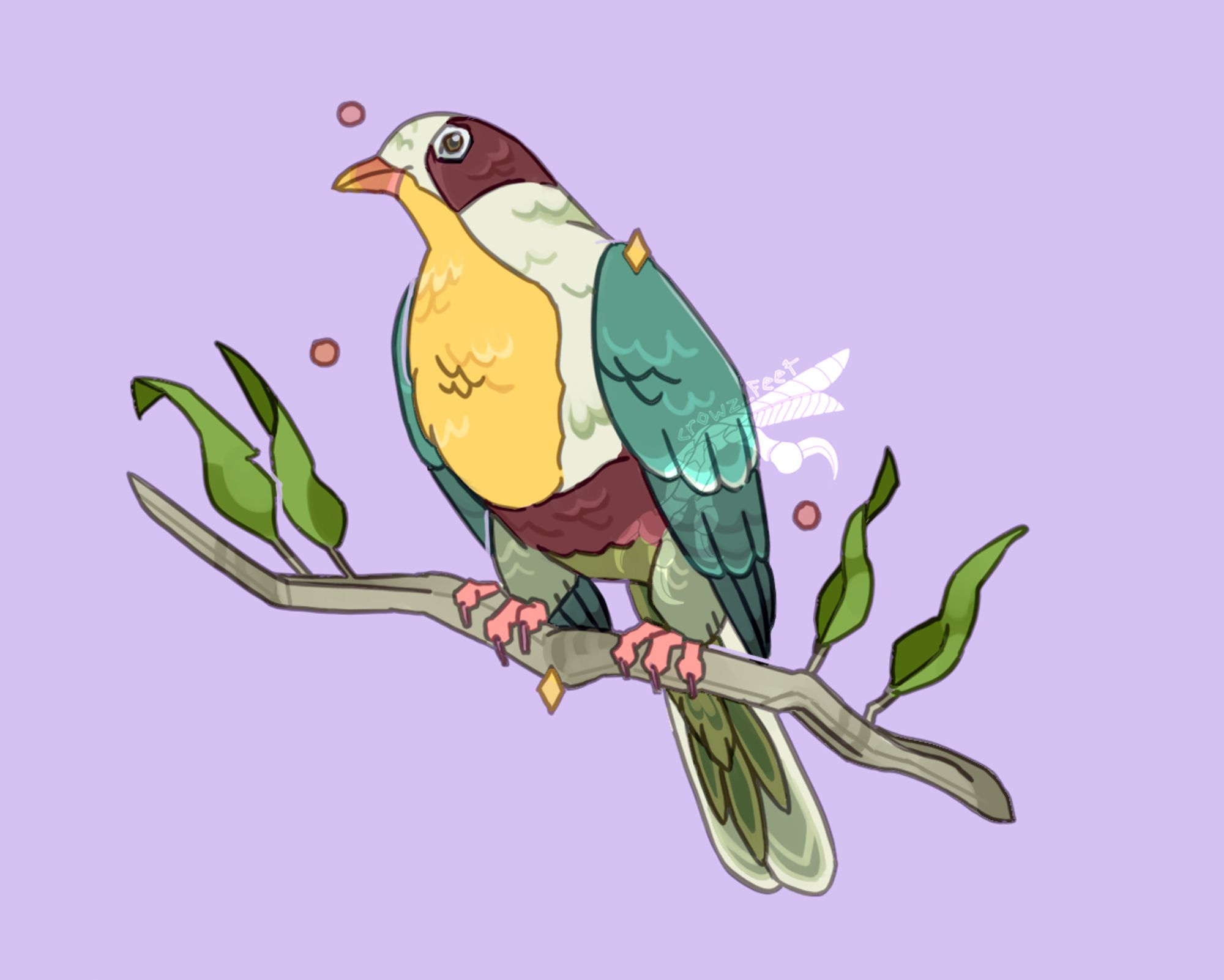 illustration of a yellow-breasted fruit-dove