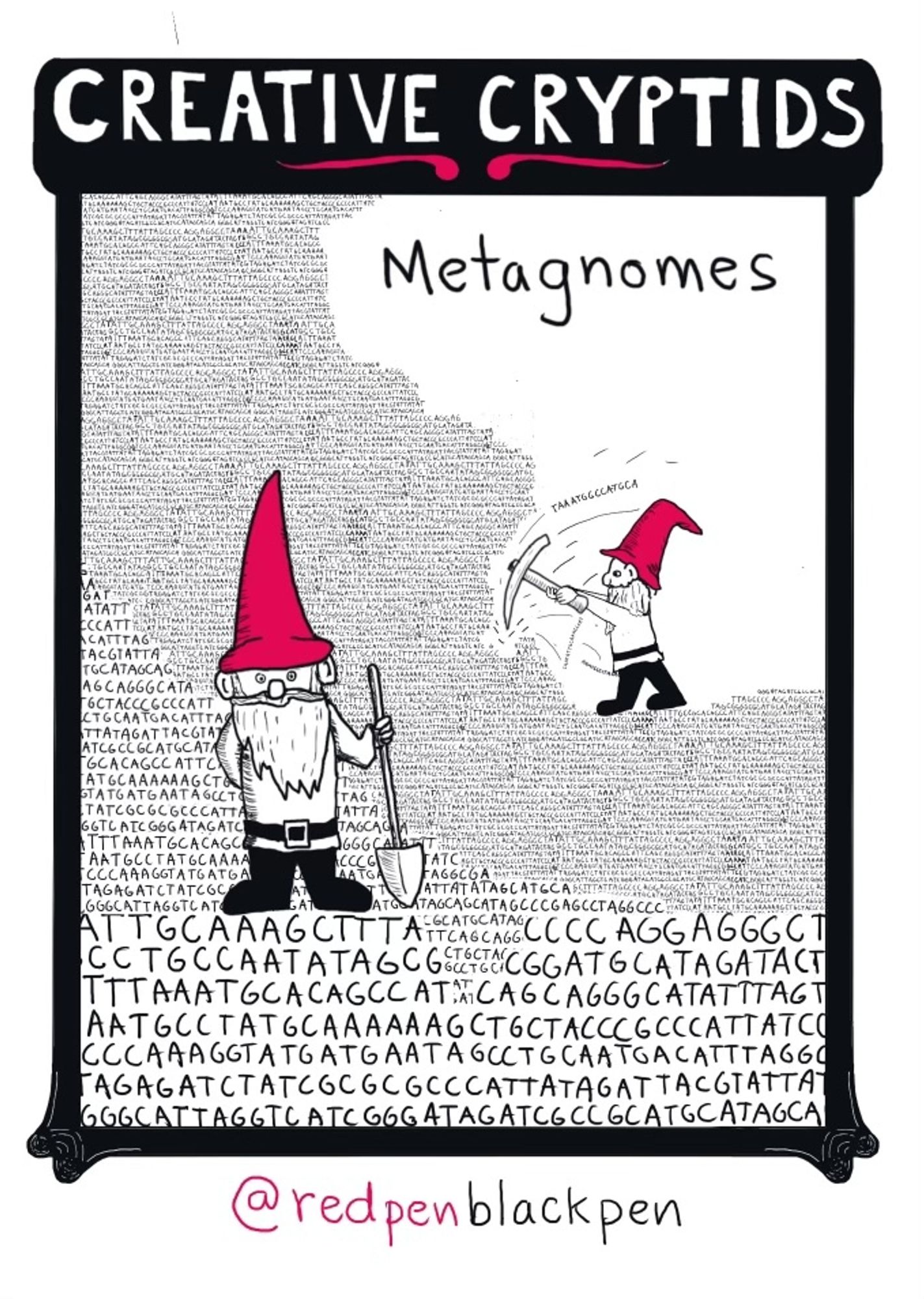 Cartoon for #inktober2024 project #creativecryptids is Metagnomes. Two small gnomes in red pointy caps are working on piles of DNA sequence.