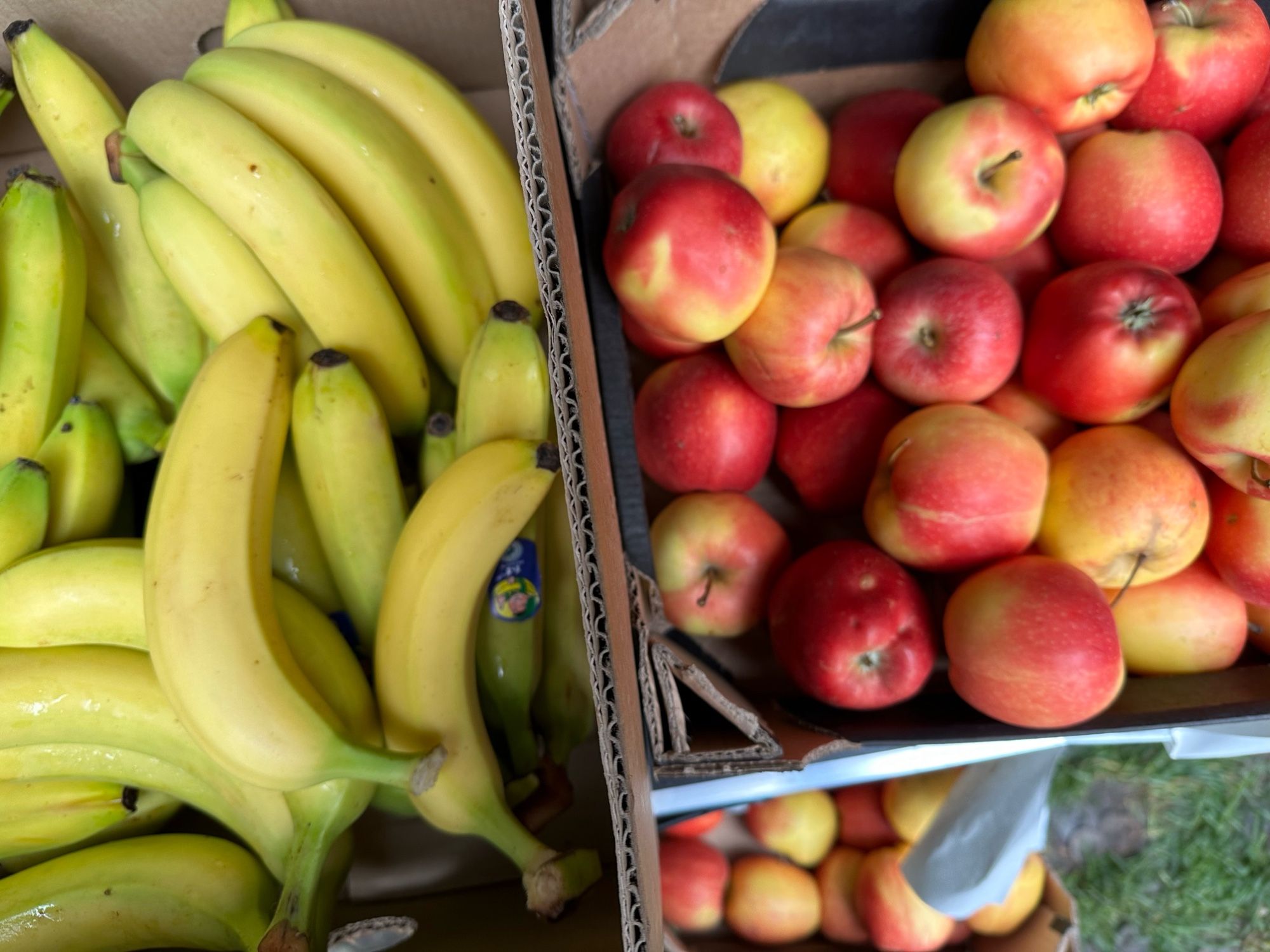 Kisten mit Bananen und Äpfeln.