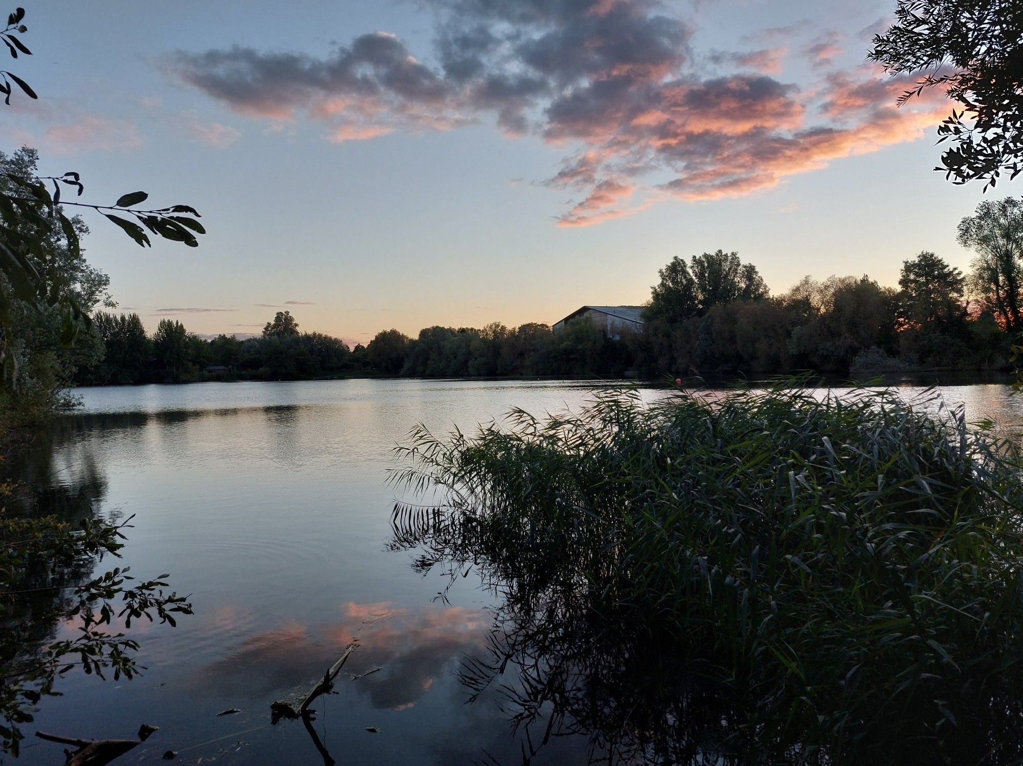 Todd's Pit this evening