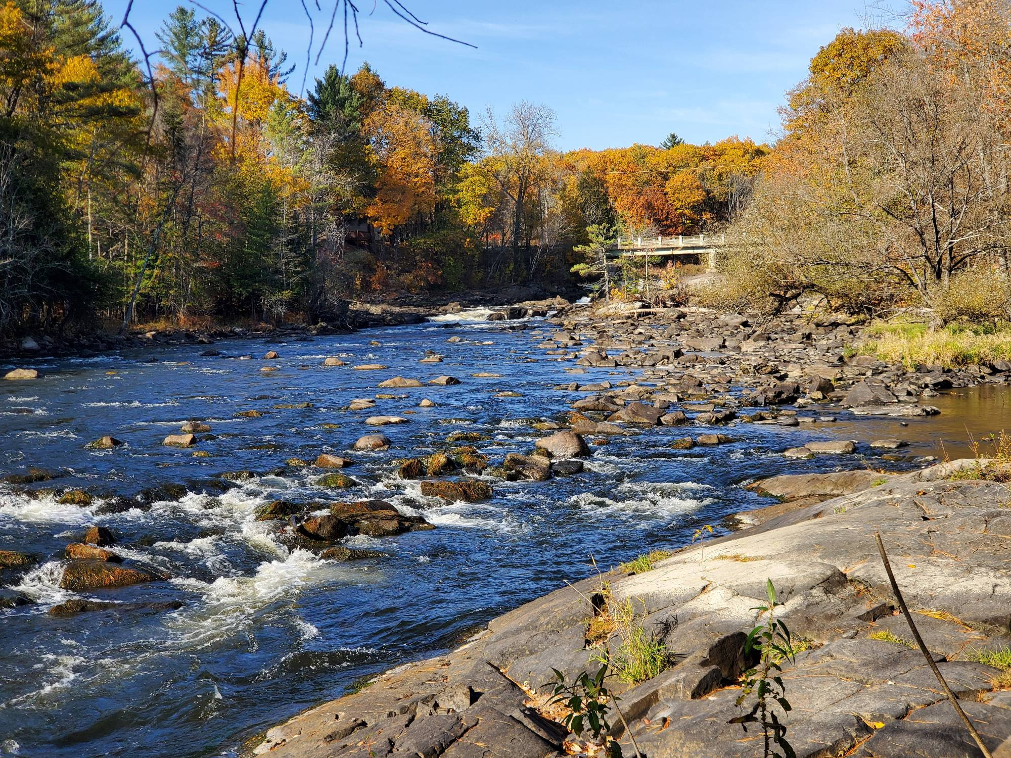 A photo of  beautiful small rapids surrounded by clear sky and bright fall leaves. 