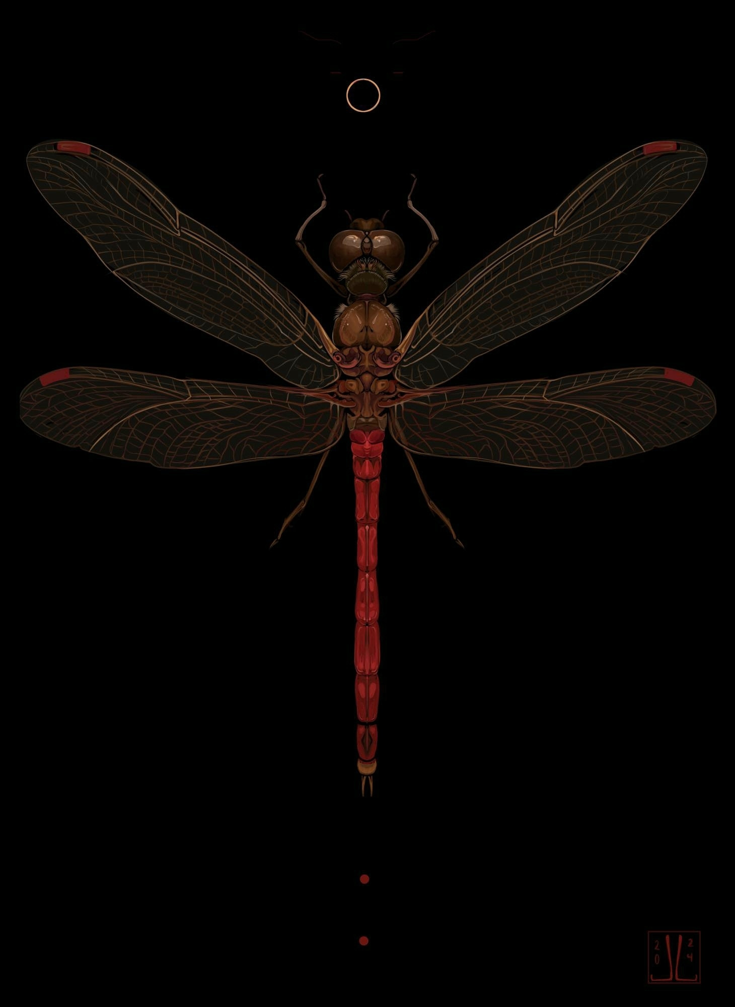 A painting of a symmetrical  red and brown dragonfly on a black background as seen from above. A few decorative circles are placed above and below it. 🐡