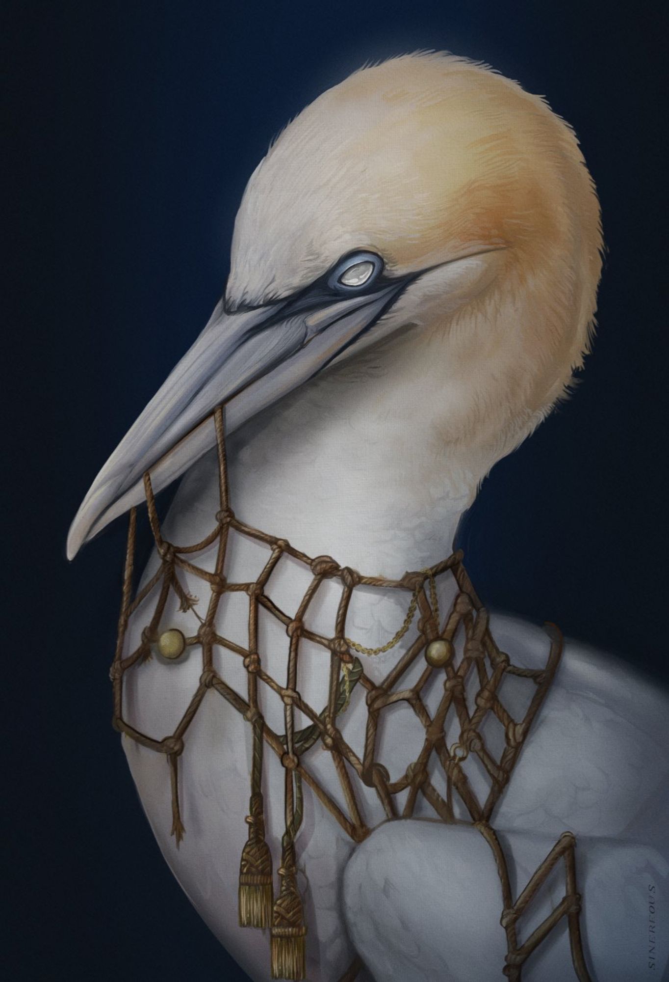 Digitally painted portrait of a northern gannet, facing to the left and with its head tilted downwards.  It has netting and various naval paraphernalia tangled around its neck. Entirely possible it’s actually a ghost. The background is solid dark navy. 