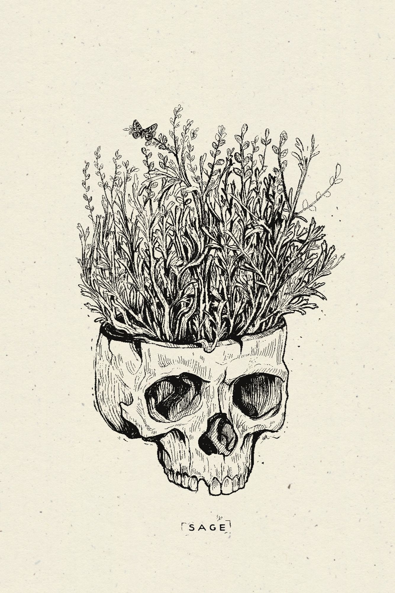 An ink drawing of a sawed off human skull  in 3/4 view with its cranial cavity stuffed full of Artemisia tridentada. Underneath the image it says “sage” as a play on words.