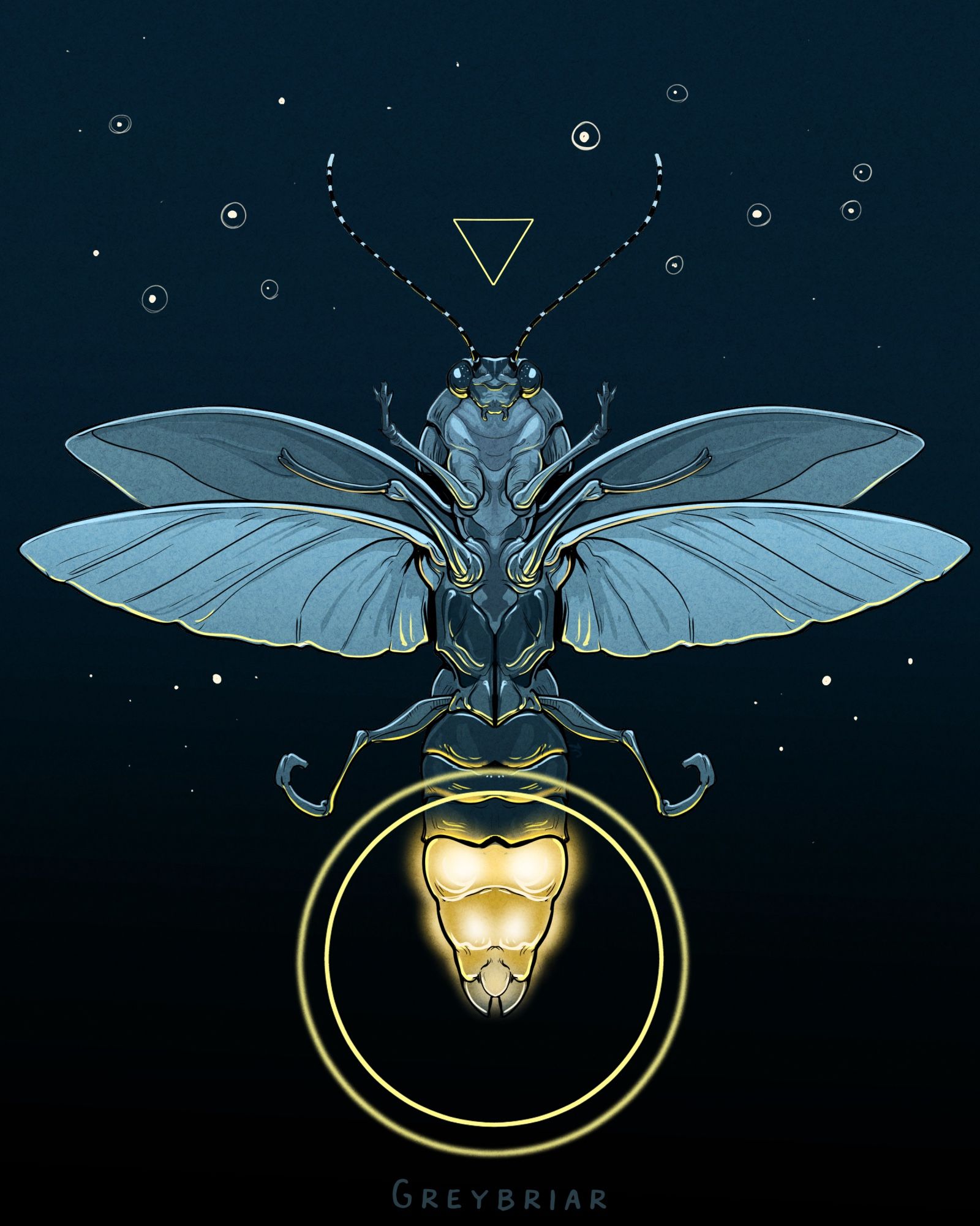 A digital illustration of a common Eastern firefly in full detail as if flying towards the viewer at night, with its characteristic illumination. The background is a black and blue gradient dotted with what could be other fireflies or stars. There is a halo added to the glowing abdomen and an upside down triangle that mirrors the shape of its head.