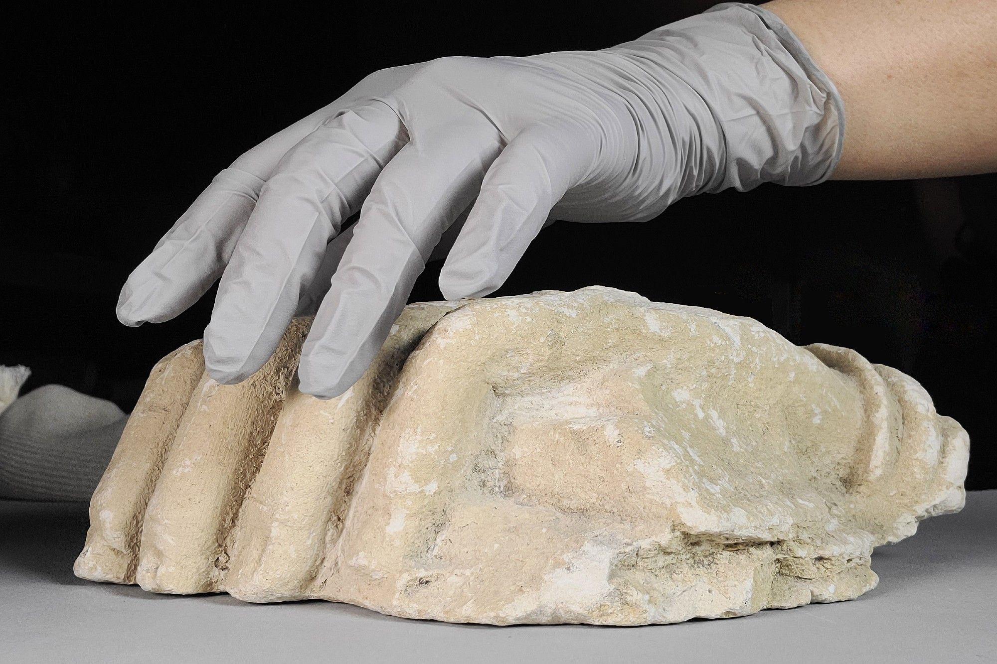 Buff beige limestone sculpture fragment of hand, with a grey nitrile-gloved hand hovering above it, palm facing downwards. Black background.