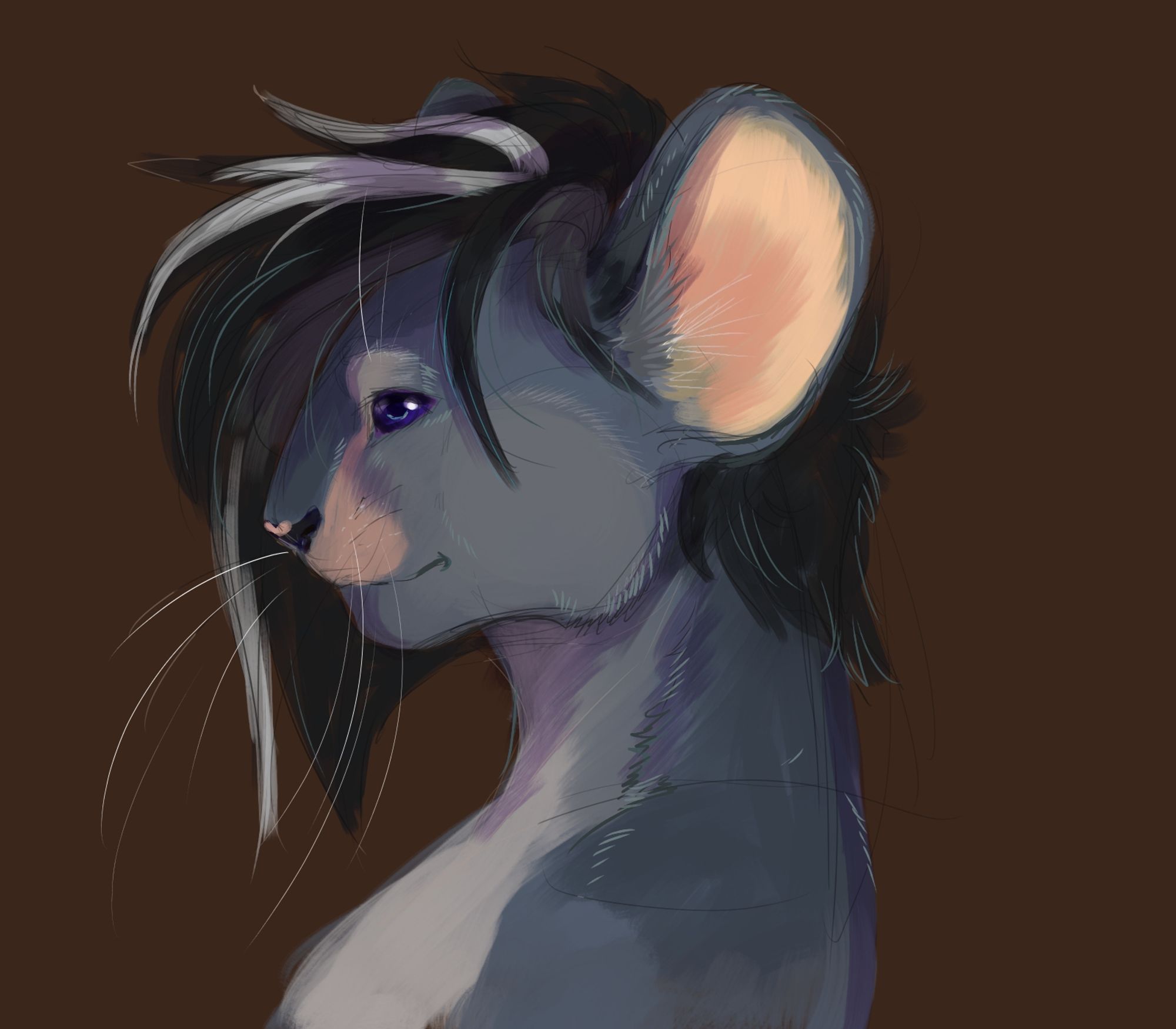 A sideview of a anthropromorphic rat with shagy black and white emo hair with white streaks. They have a darker nose and back of the neck creating a smooth color transition to the dark hair. They have pinkish skin in their ears and brownish-peach upper lips. Their nose is black with a tiny pinkish heart shaped mark. Their eyes are dark blue and their whiskers white.