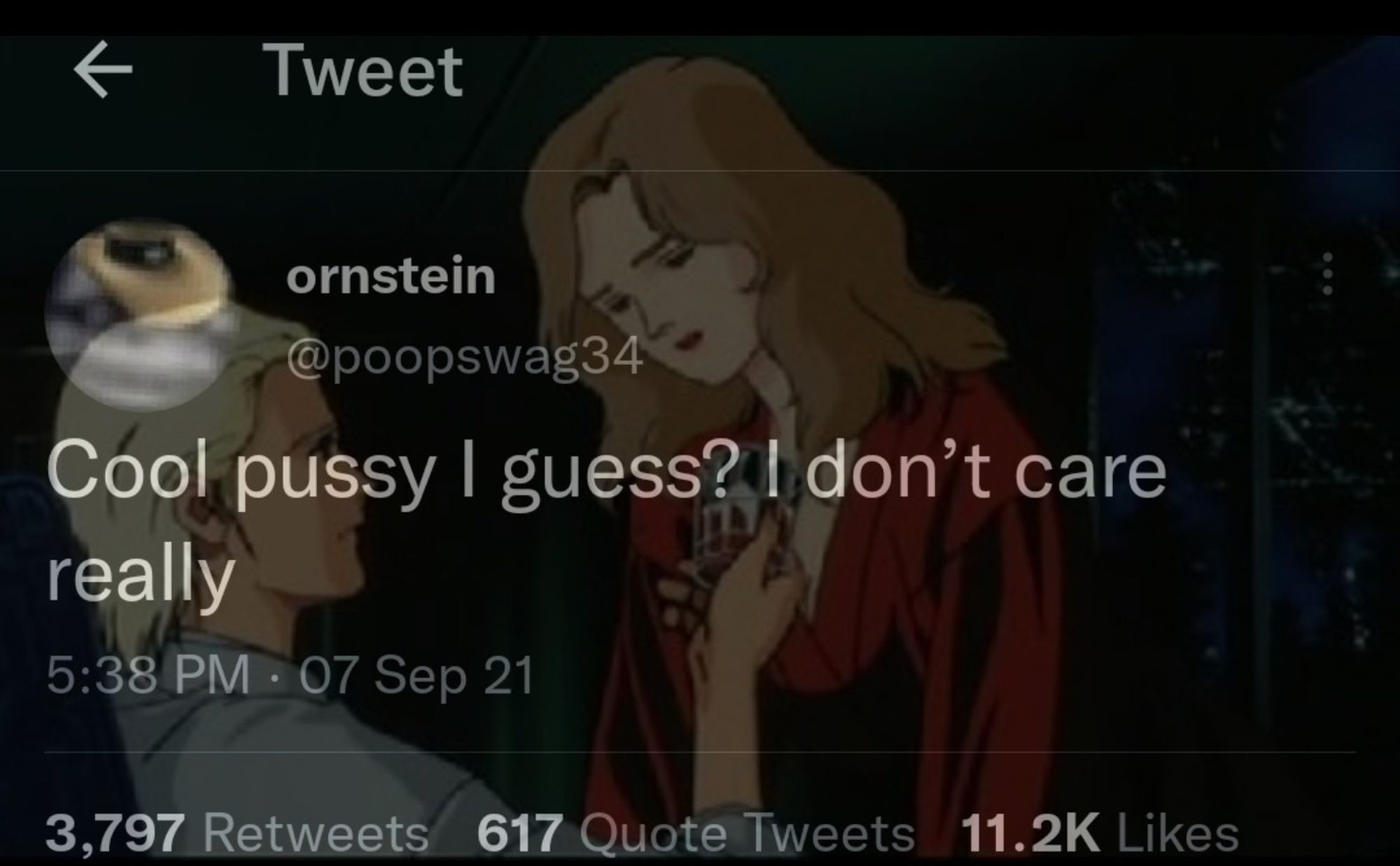 Tweet that says "Cool pussy I guess? I don't care really" with Char Aznable and Nanai transposed over it