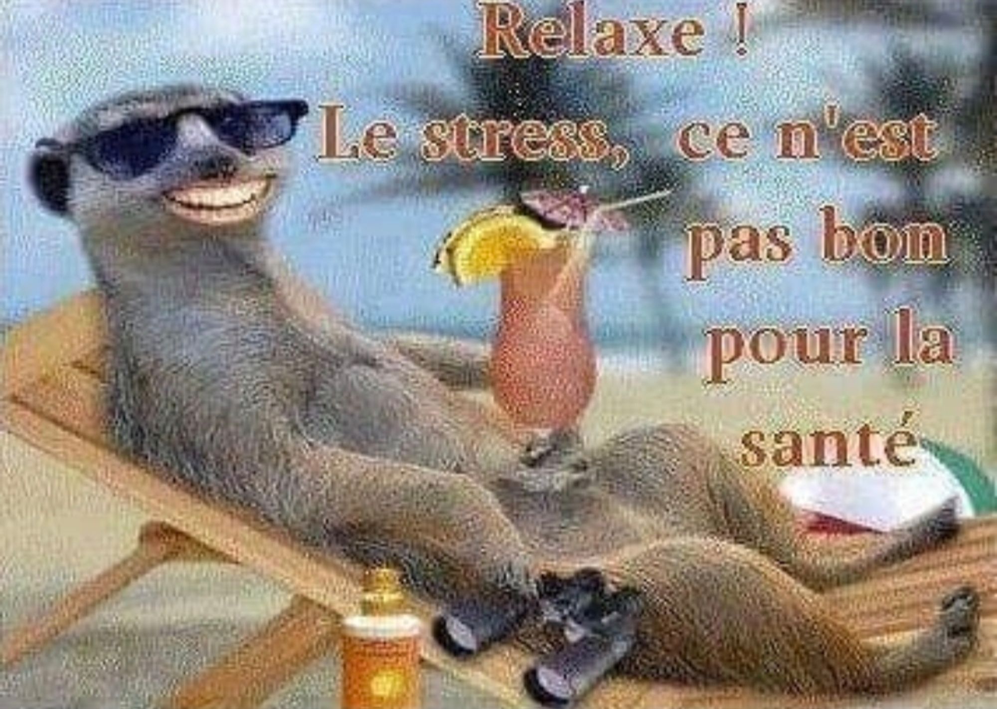 Un suricate sur une chaise longue avec un grand sourire : "Relaxe ! Le stress, ce n'est pas bon pour la santé"