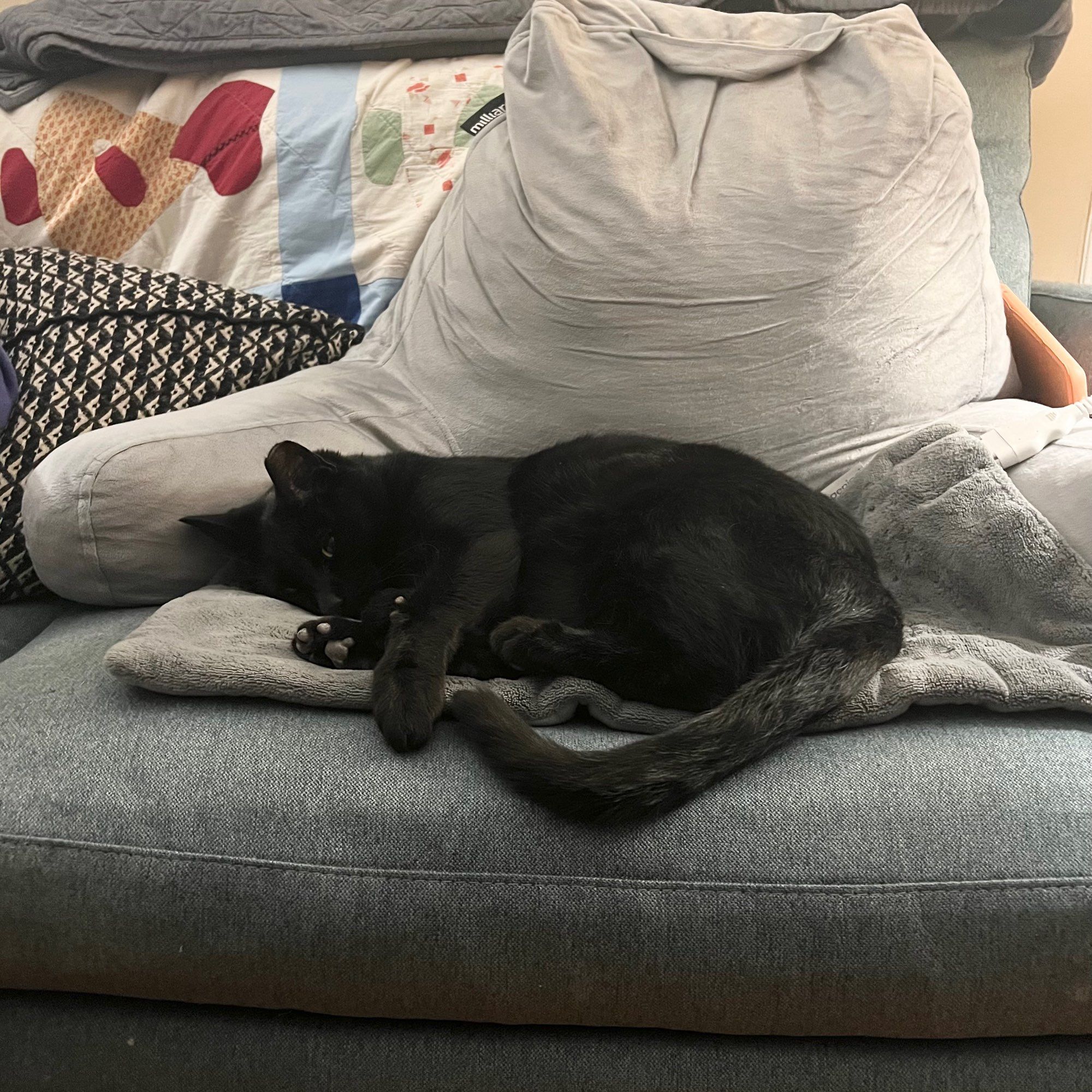 A black cat sleeps on top of a heating pad against some back support on a cozy couch. It looks like a place a human mom might actually like to sit.