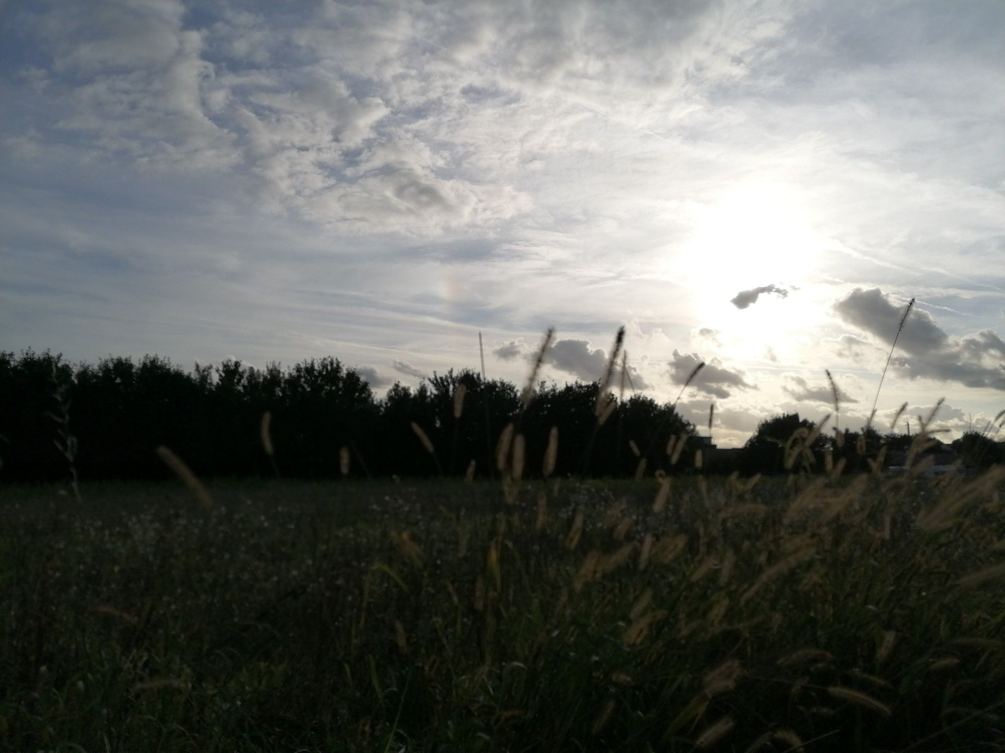 Foto einer Wiese mit Wolken darüber