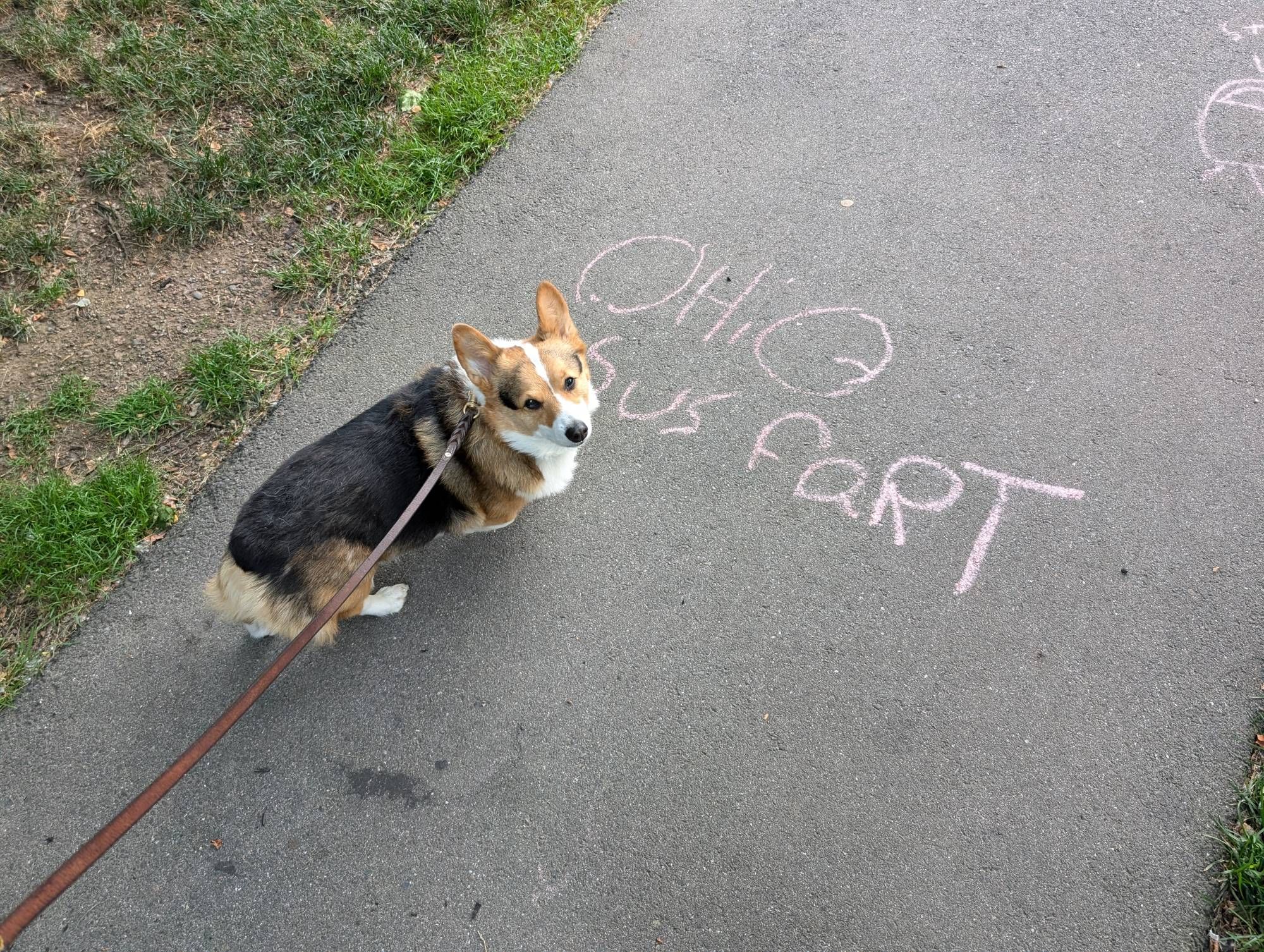 A kid's chalk drawing of the text "Ohio Sus Fart", in reference to Among Us and...Ohio?  Cameo appearance by Teddi the tri-color corgi.