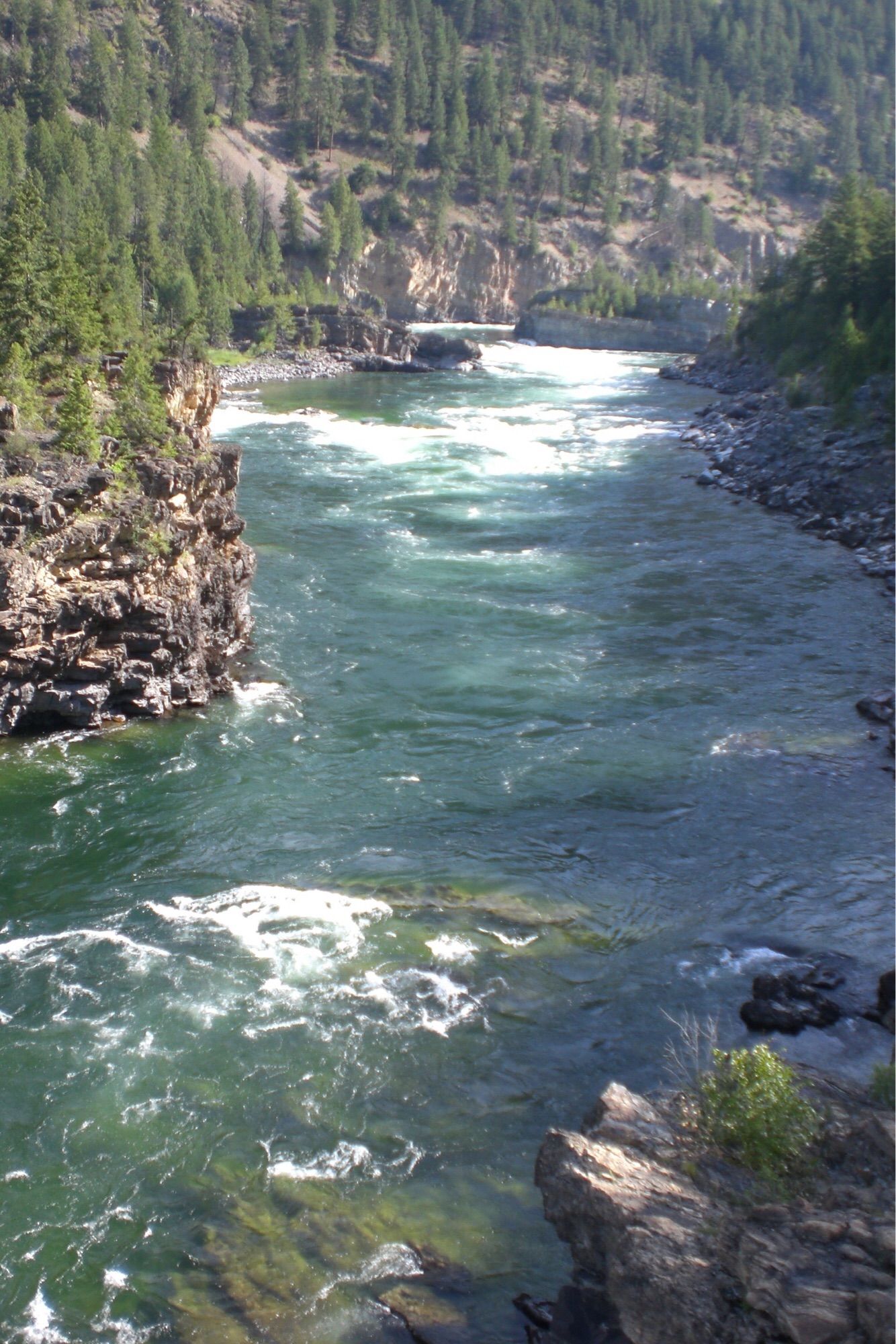 a river flowing below low rapids, evergreens rising from the hillside