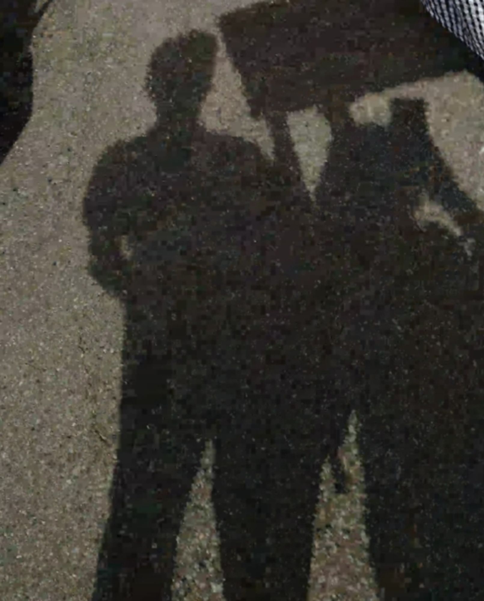 Der Schatten von zwei Demoteilnehmenden mit Schild und Handy in der Hand auf Asphalt.