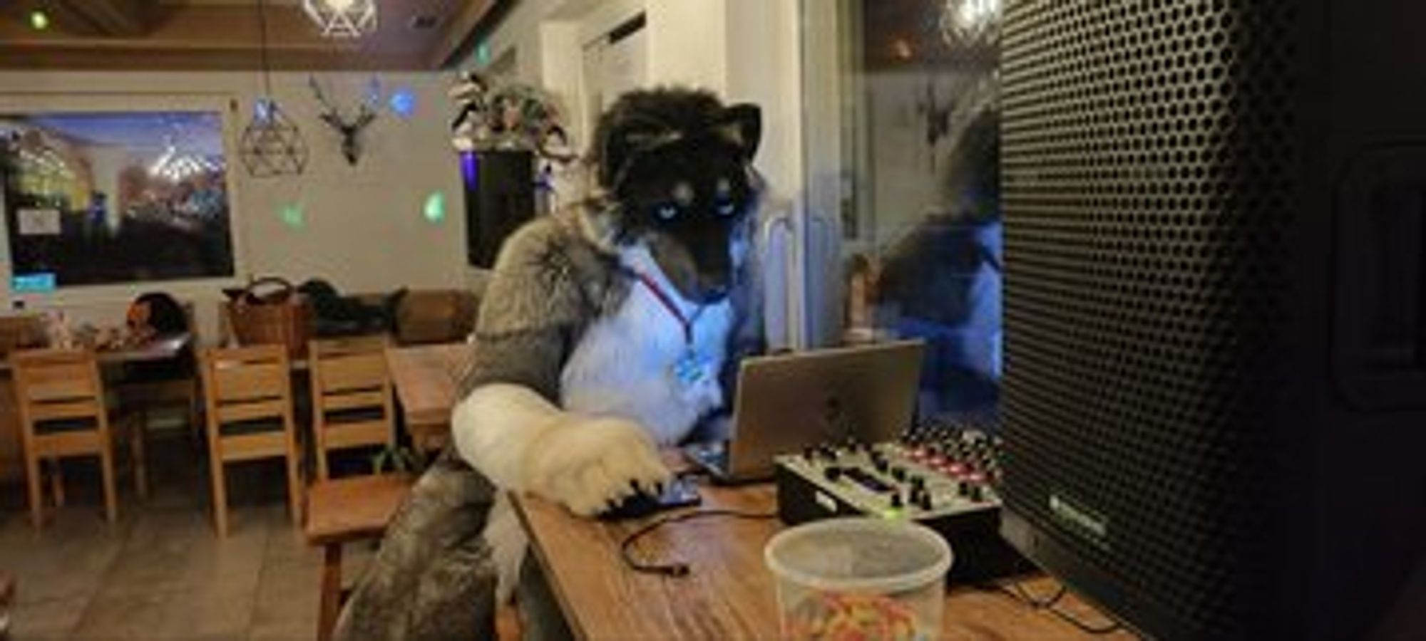 A Fursuiter sitting in front of a Laptop choosing the next song to Play.
Photo by Ando