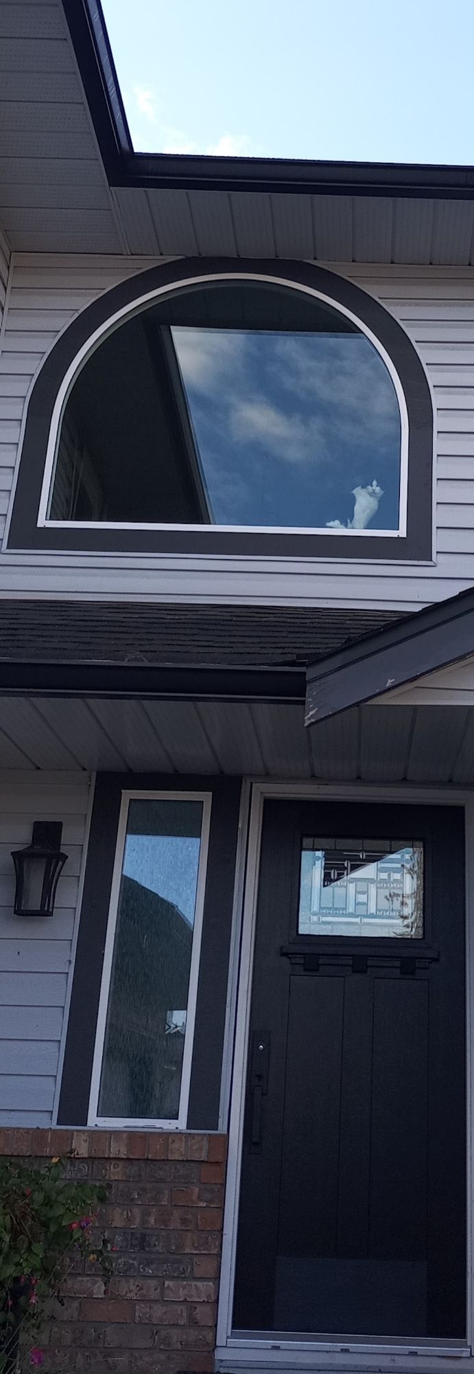 Black & white cat in an arched window above a doorway