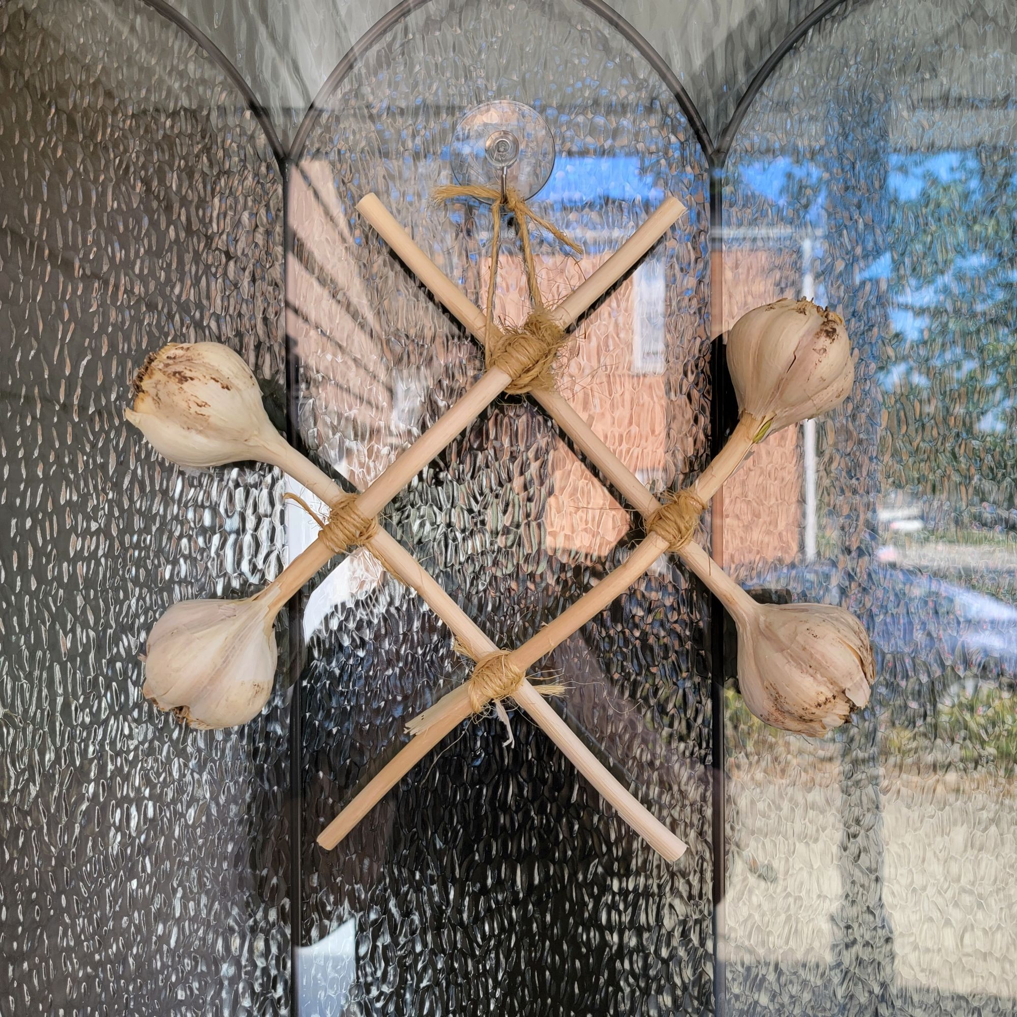 4 heads of garlic with intact stalks lashed together into a diamond shape. It is slightly off-putting.