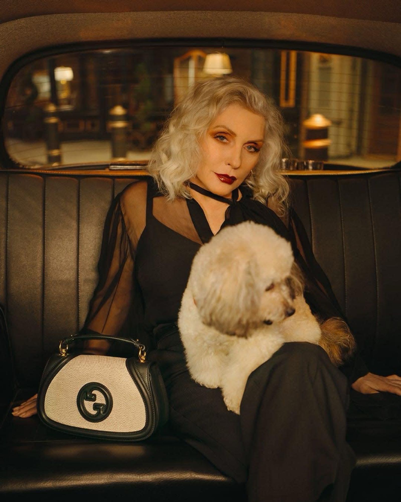 Debbie Harry in black dress with white dog