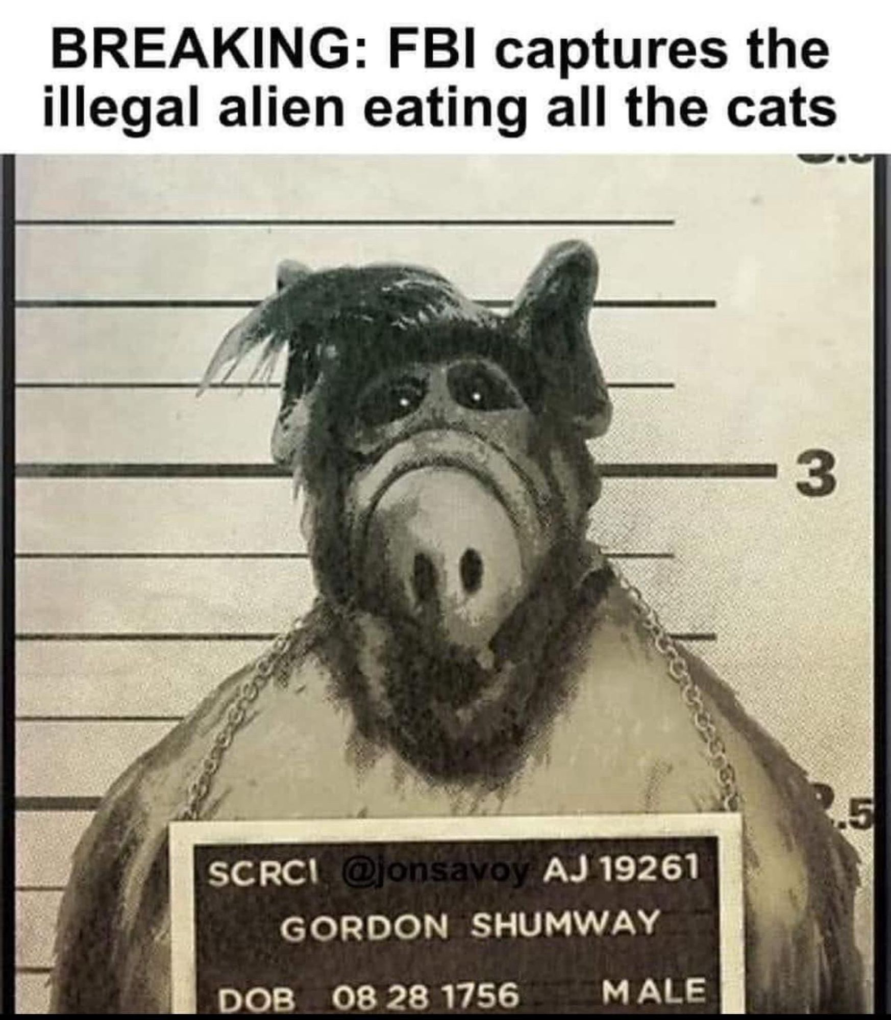 BREAKING: FBI captures the illegal alien eating all the cats

Mugshot of ALF