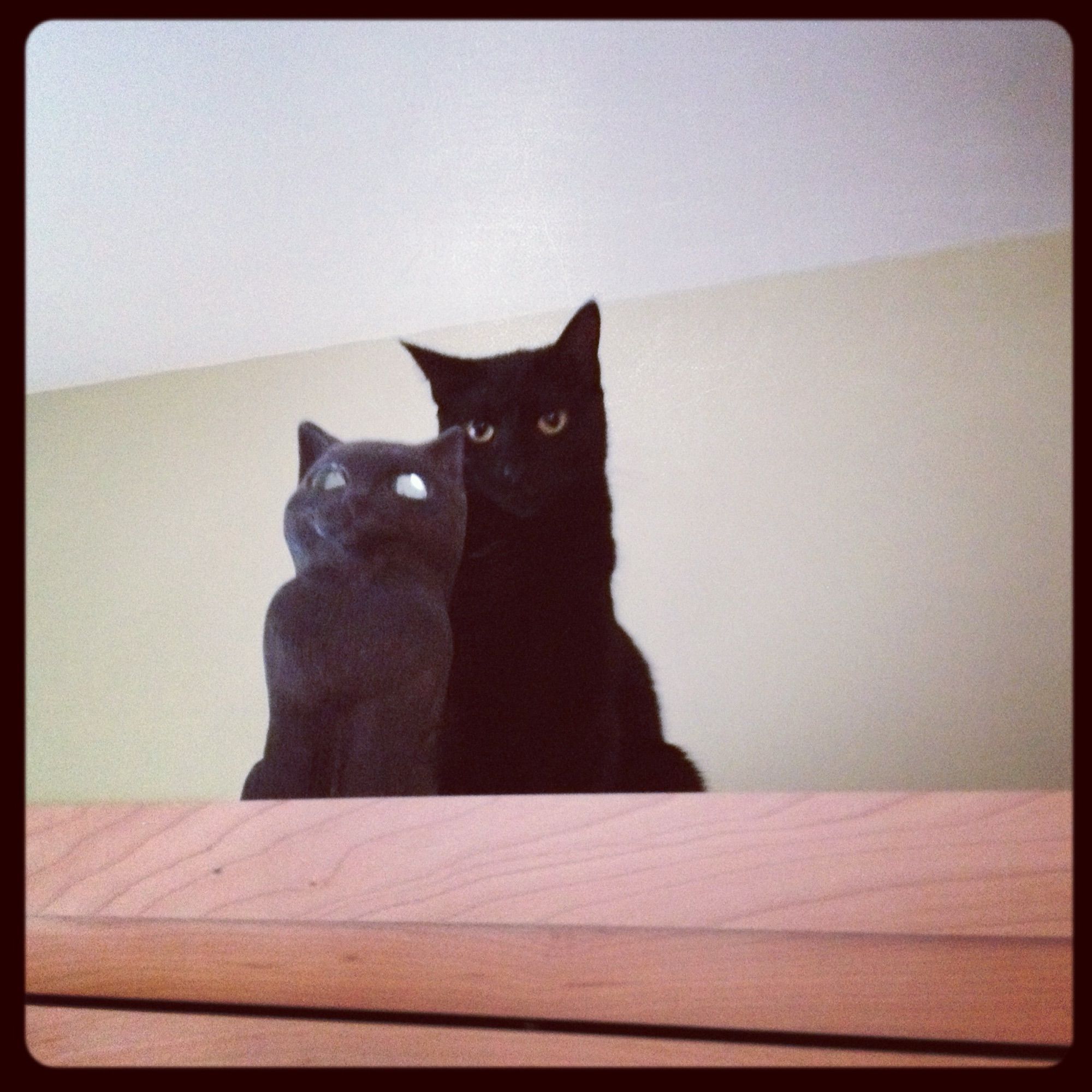 Black cat sitting next to a black cat statue