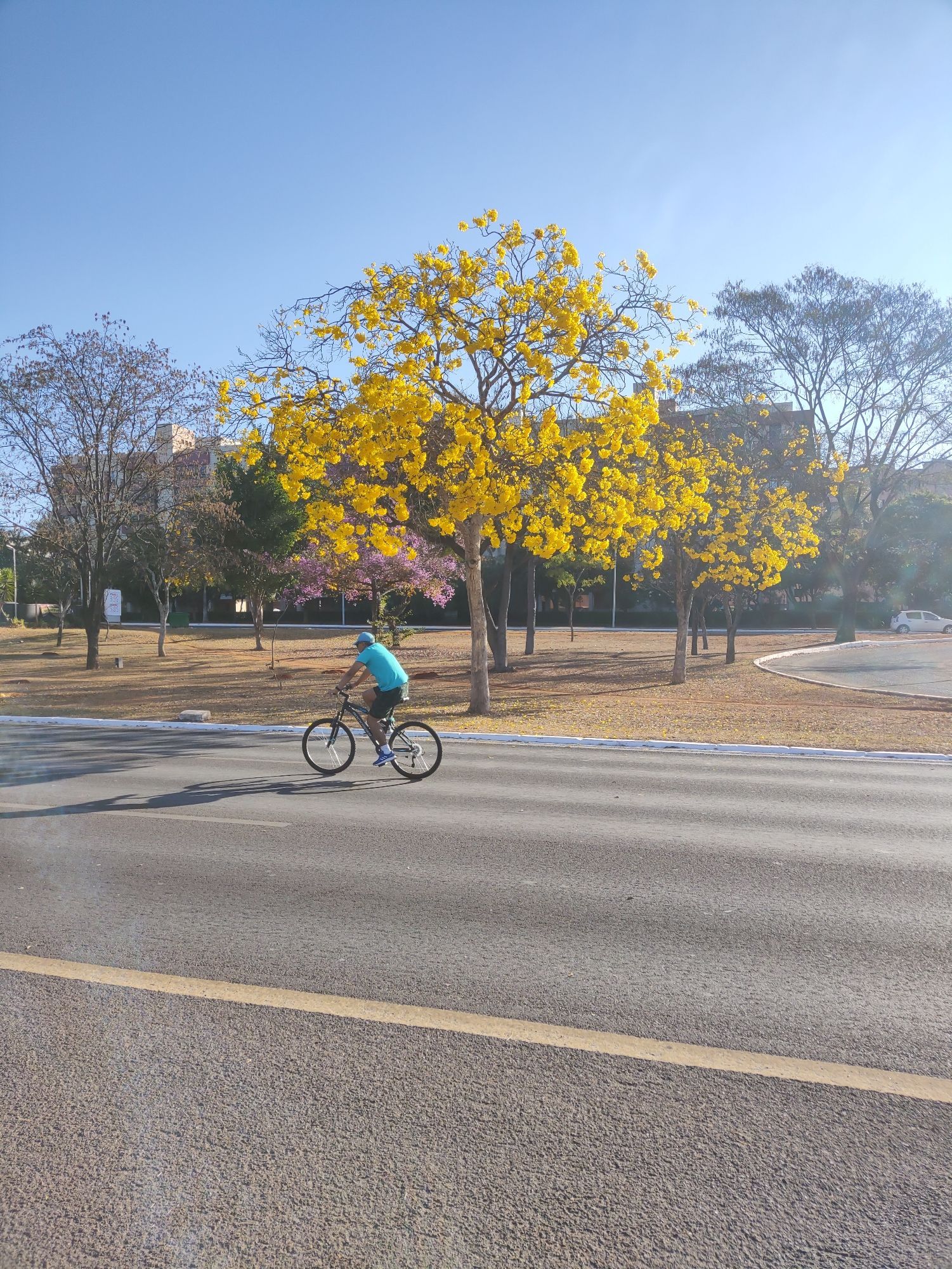 Curtindo o pedal de bike, no Eixão do lazer, 108N, Brasília