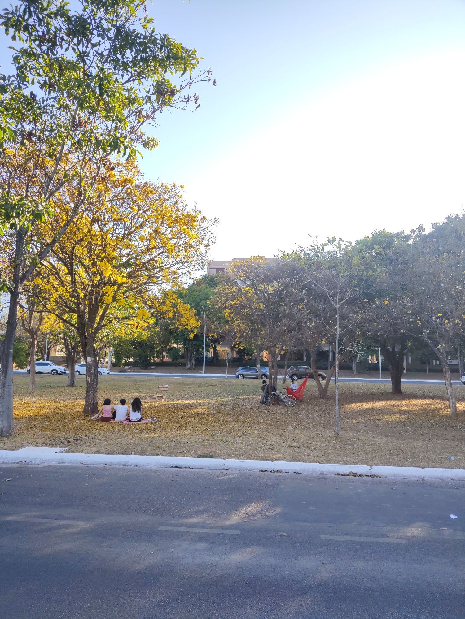 Curtindo a brisa na rede, no Eixão do lazer, 109N, Brasília