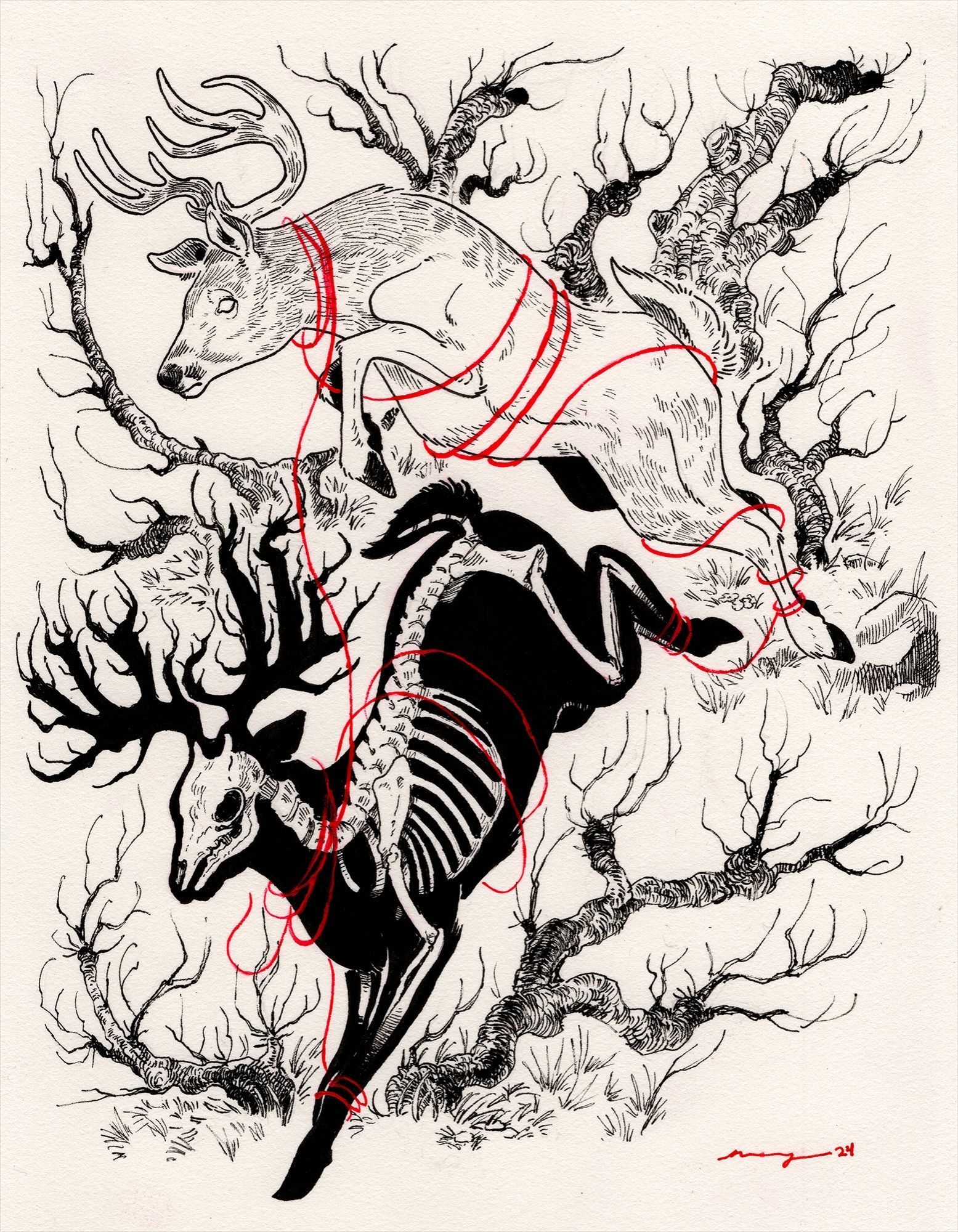 Two stags bounding downhill. One stag is a skeleton in a silhouette. Wrapped around each is a thin red thread. Ink drawing.