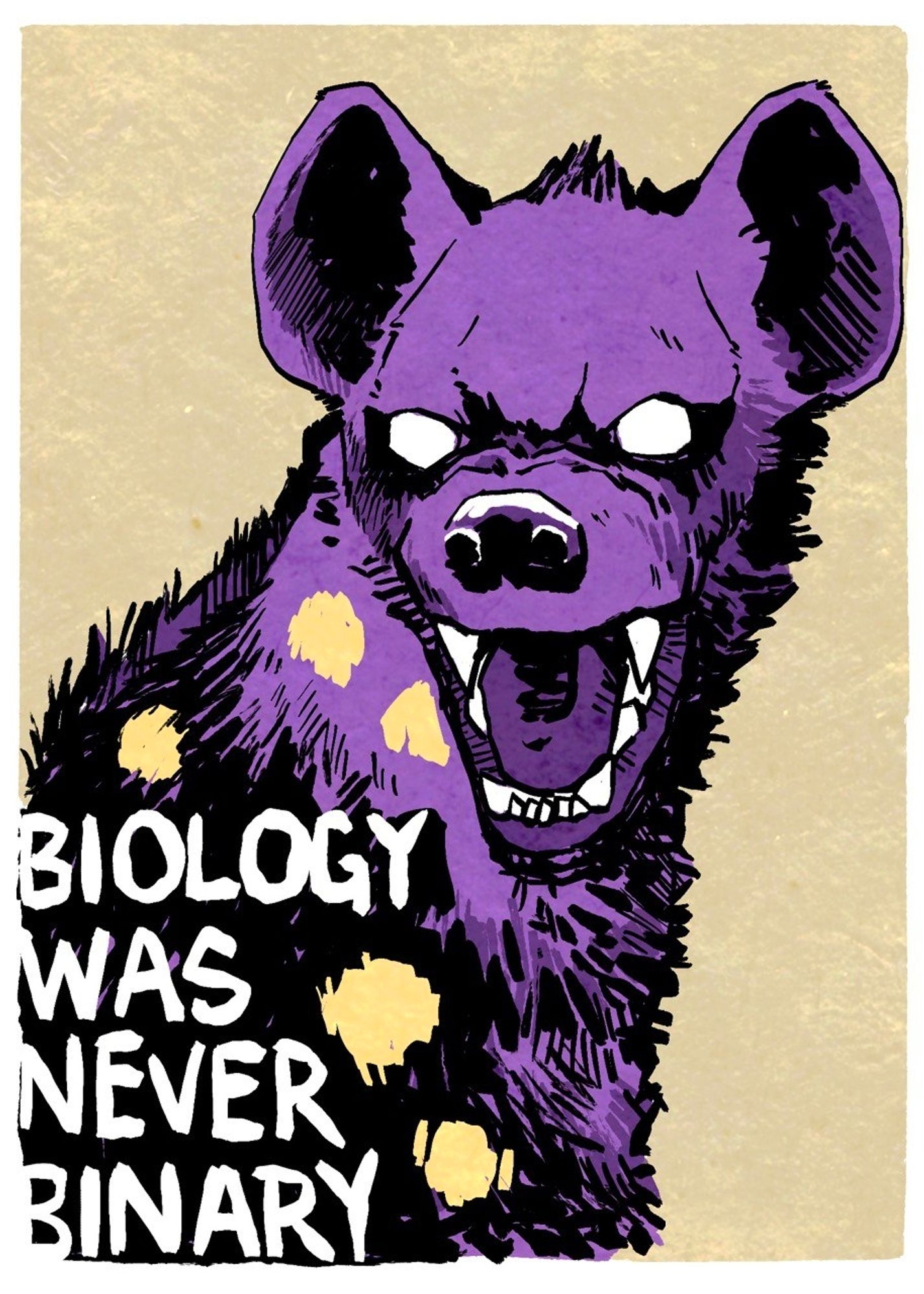 Drawing of a snarling hyena, painted in intersex pride flag colors. Text reads "Biology Was Never Binary". This is intended to communicate that sex and gender is not within a binary, that biology is complex and does not adhere to social norms. I use the hyena as an example of a mammal with a complex social hierarchy that is often demonized in western society or seen as an anomaly to the socialized structure of male and female.