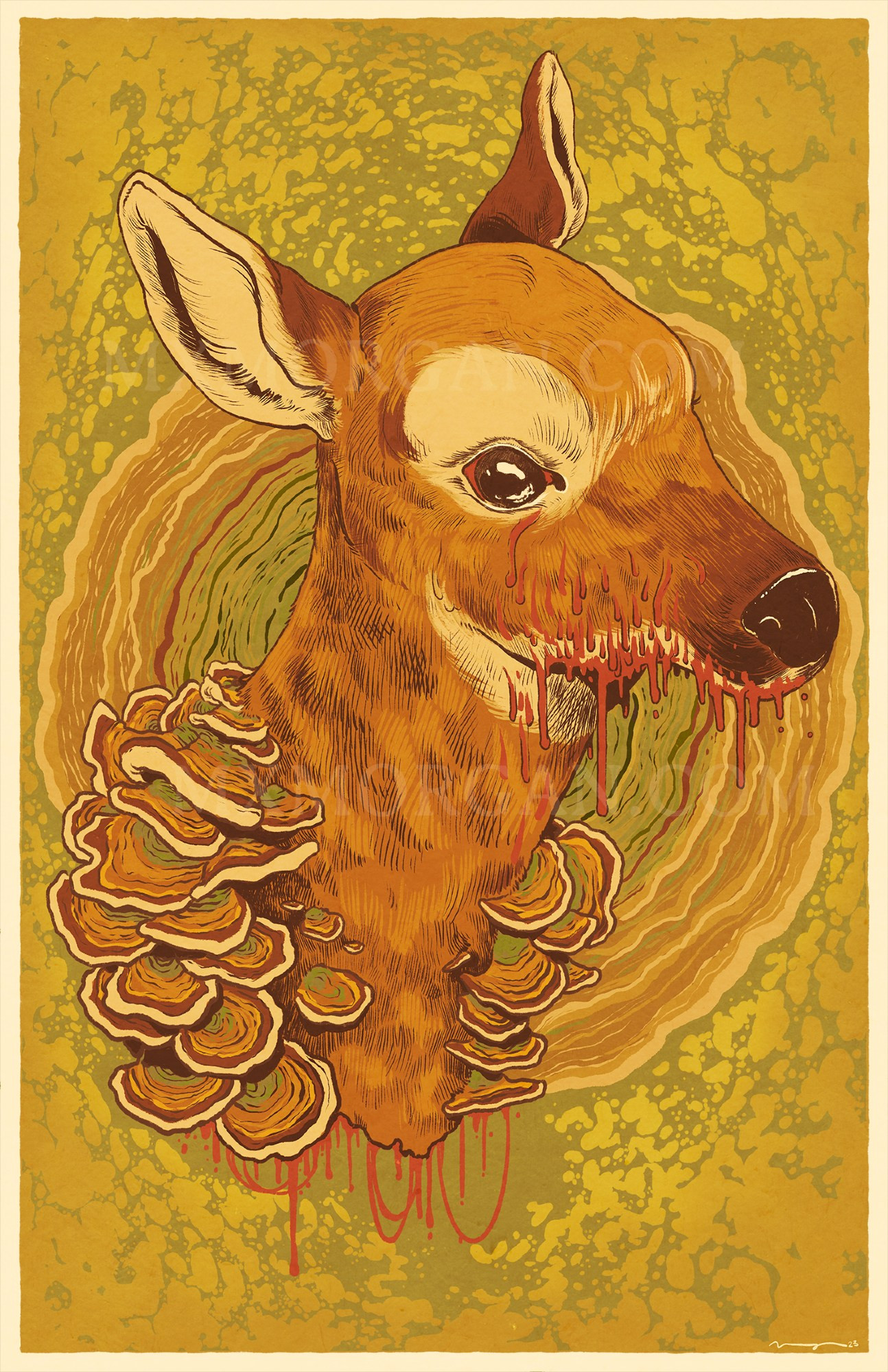 a deer fawn head and neck with hard stereum fungi growing from its nape, blood dripping form the fawn's face and severed neck