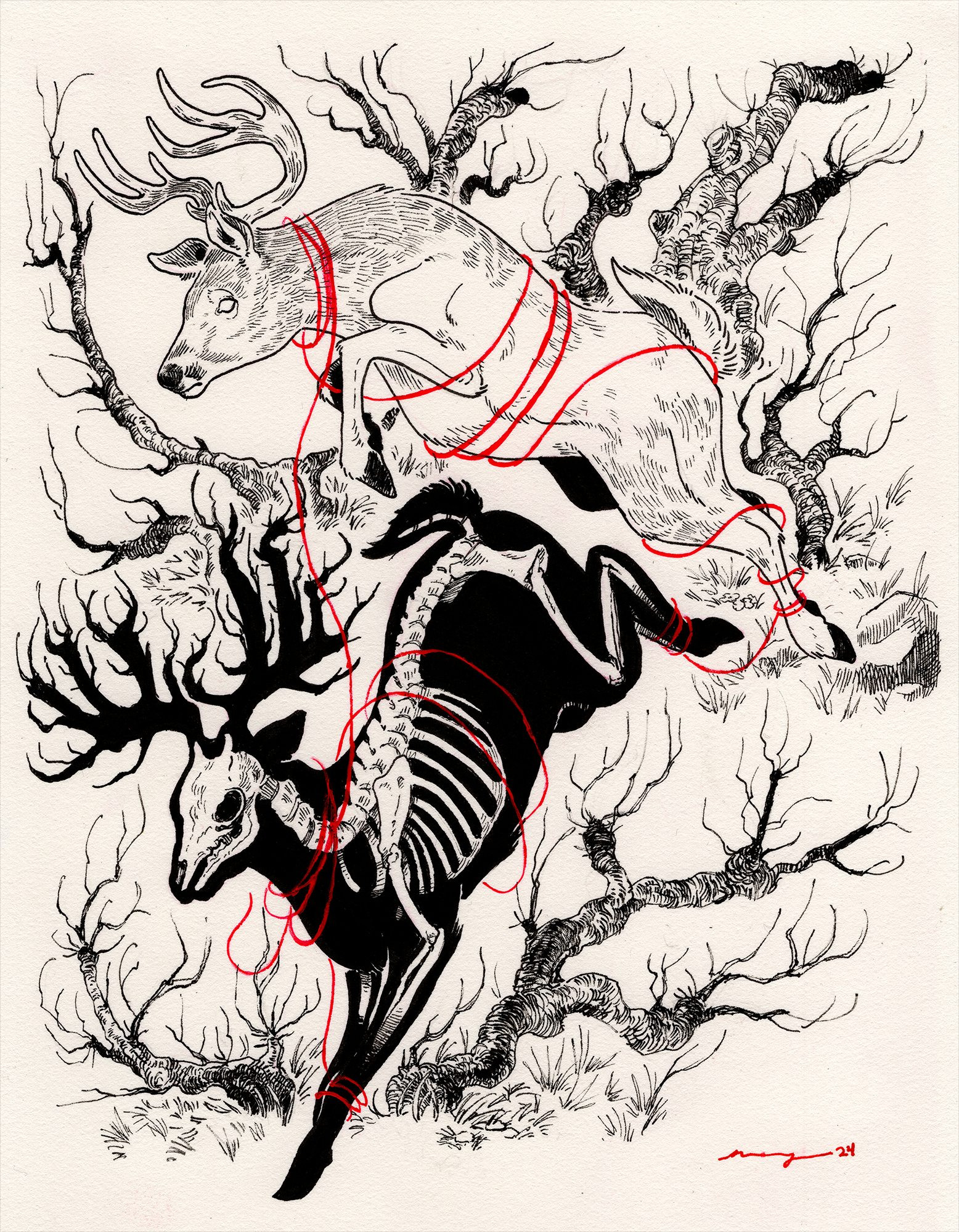 Two stags bounding downhill. One stag is leaping over another stag. The lower stag is a deer's skeleton in a silhouette of a deer. Both deer are bound loosely by a red thread. Drawn in pen, ink, and gouache