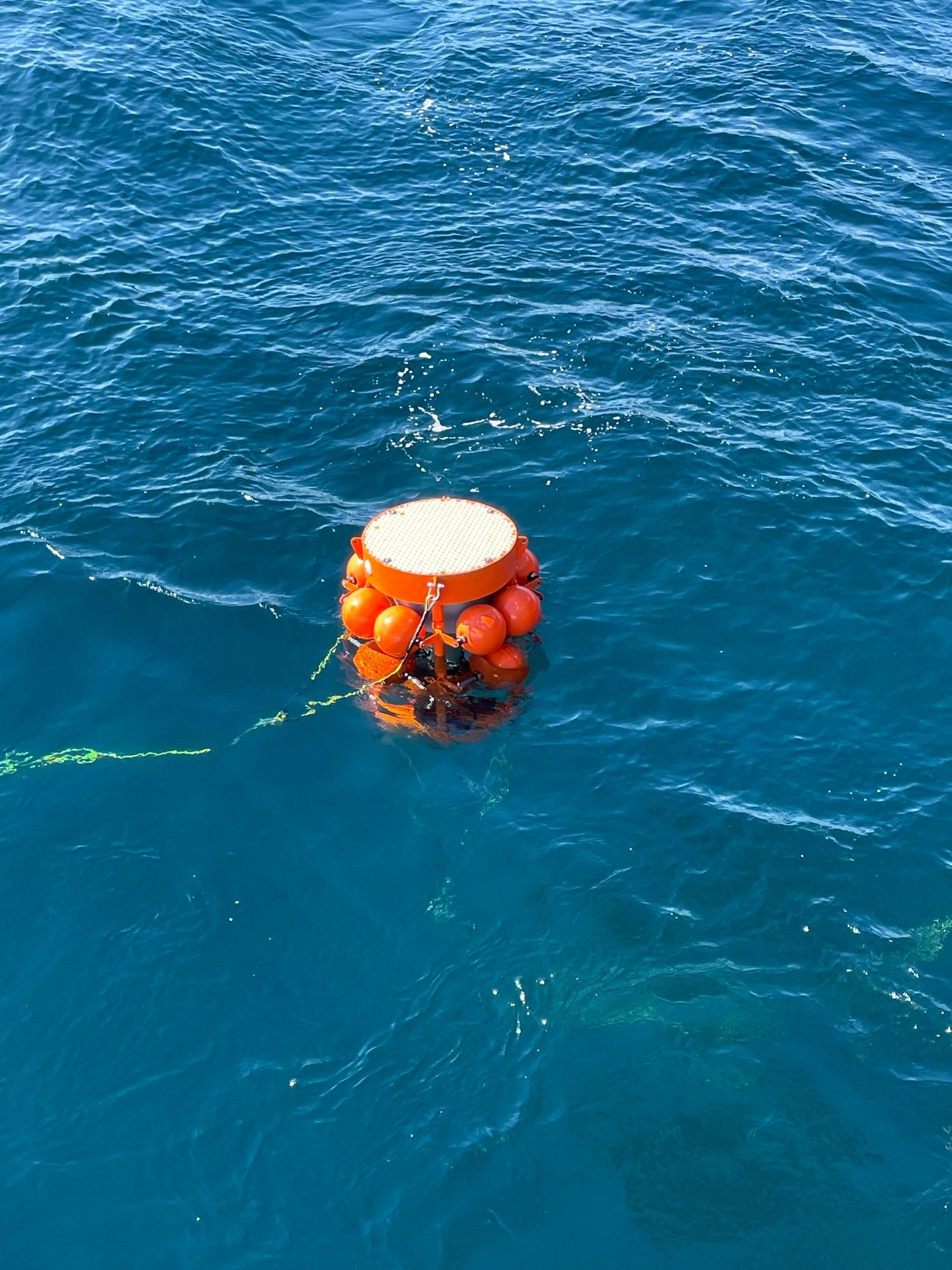 A sediment trap floating in the ocean