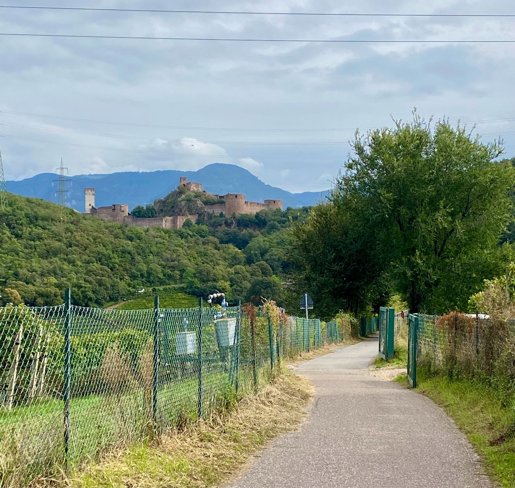 Ein asphaltierter Weg links und rechts begrünter Zaun . Im Hintergrund Schloss Firmian.