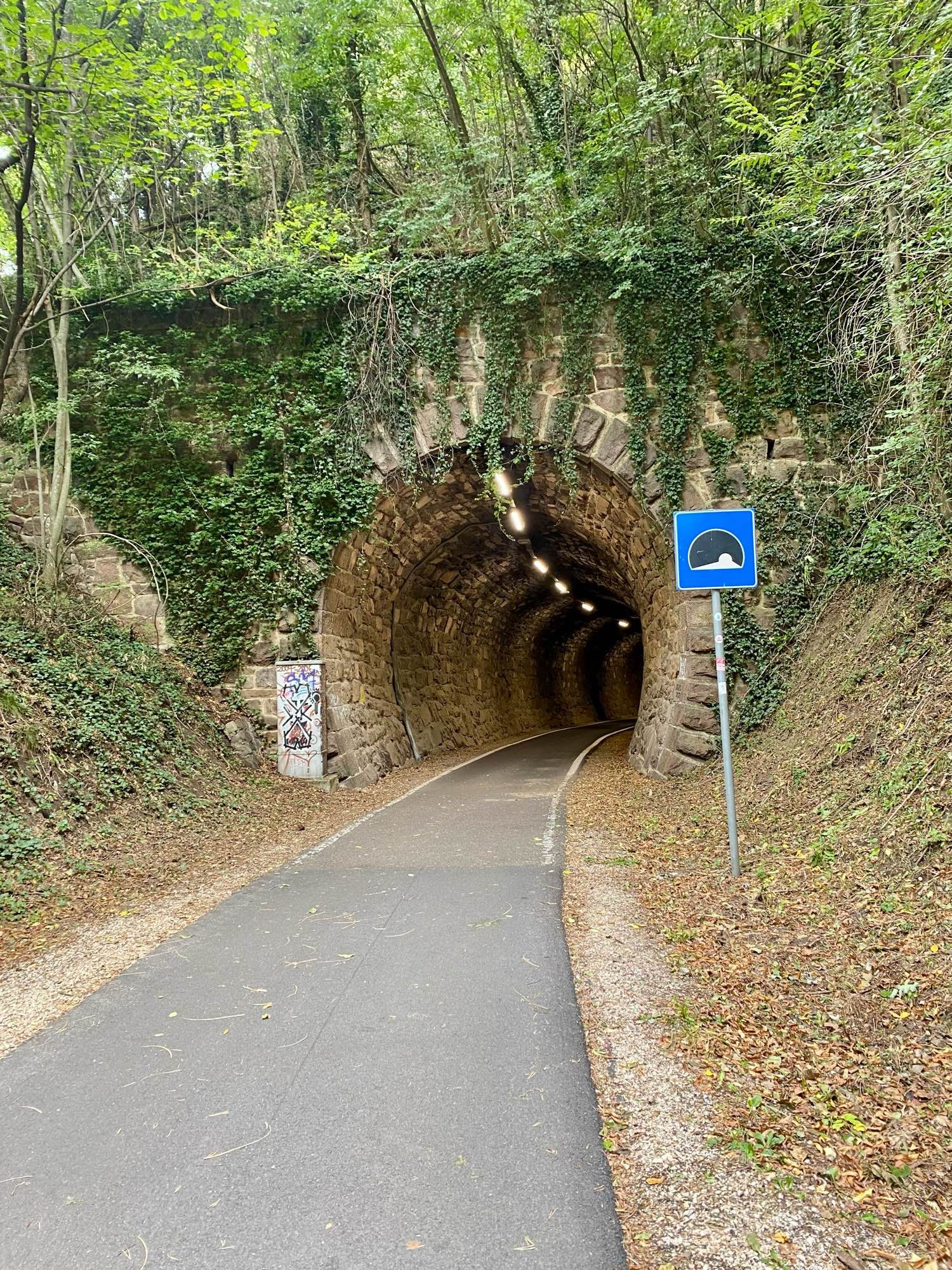 Ein asphaltierter Weg führt in einen beleuchteten Tunnel. Nur für Fahrräder.