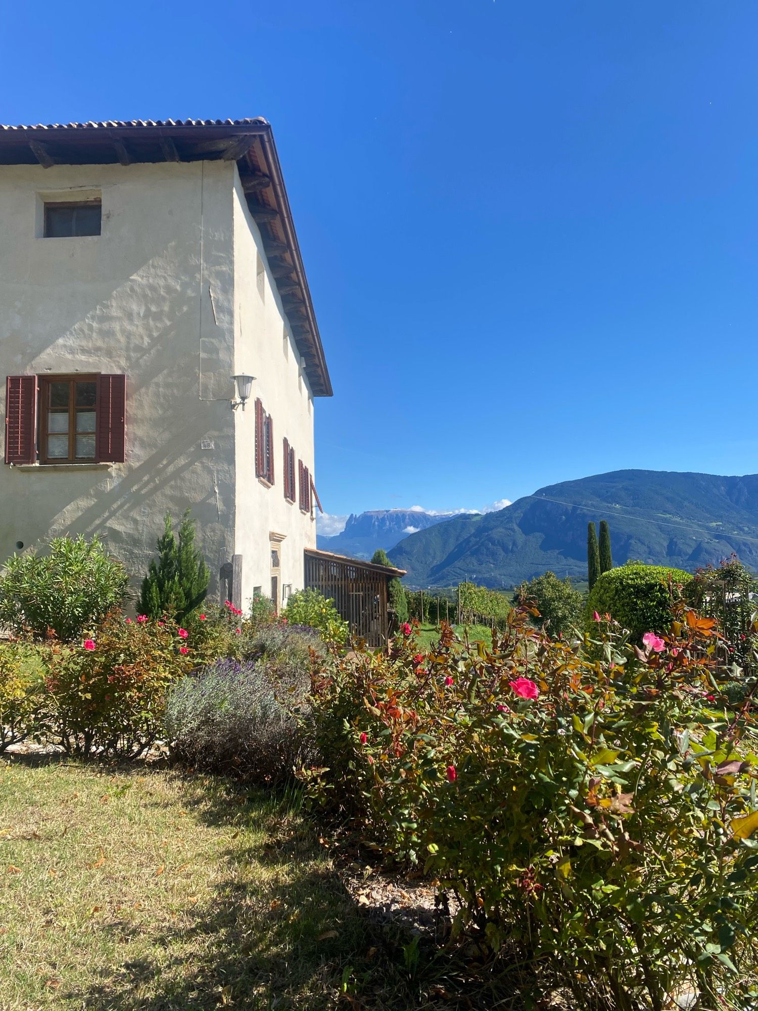 Ein älteres Haus mit weißen Wänden und Holzfensterläden, davor eine blühender Garten mit Rosen und Lavendel. Im Hintergrund hohe Berge und der blaue Himmel.