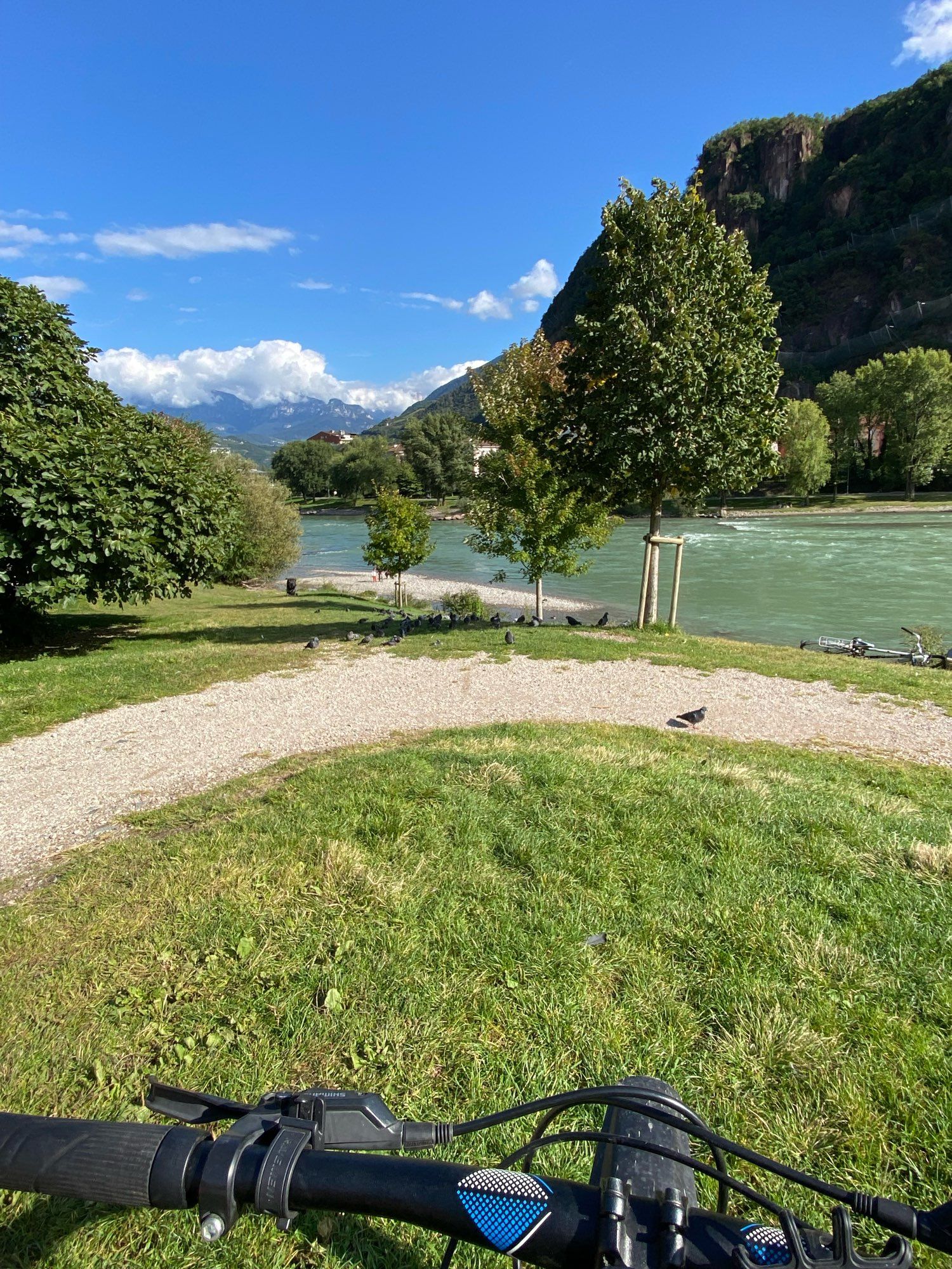 Fahrradlenker , grüne Wiese und im Hintergrund die Etsch. Mitten in Bozen