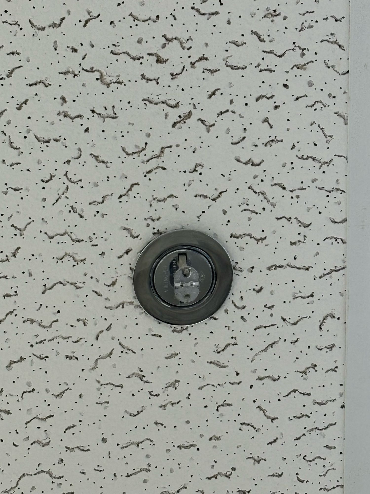 View of an institutional foam-panel ceiling with a water sprinkler set into it. The sprinkler head has an oval tab with markings that strongly evoke the face of one of the Teenage Mutant Ninja Turtles, although it is monochromatic (silver-colored) and therefore unclear which Ninja Turtle we’re seeing