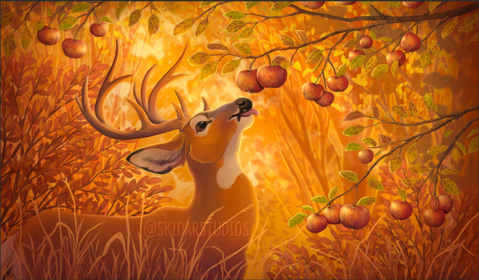 A bright orangey and gold fall forest scene of a buck mule deer about to enjoy some low hanging apples on a tree.