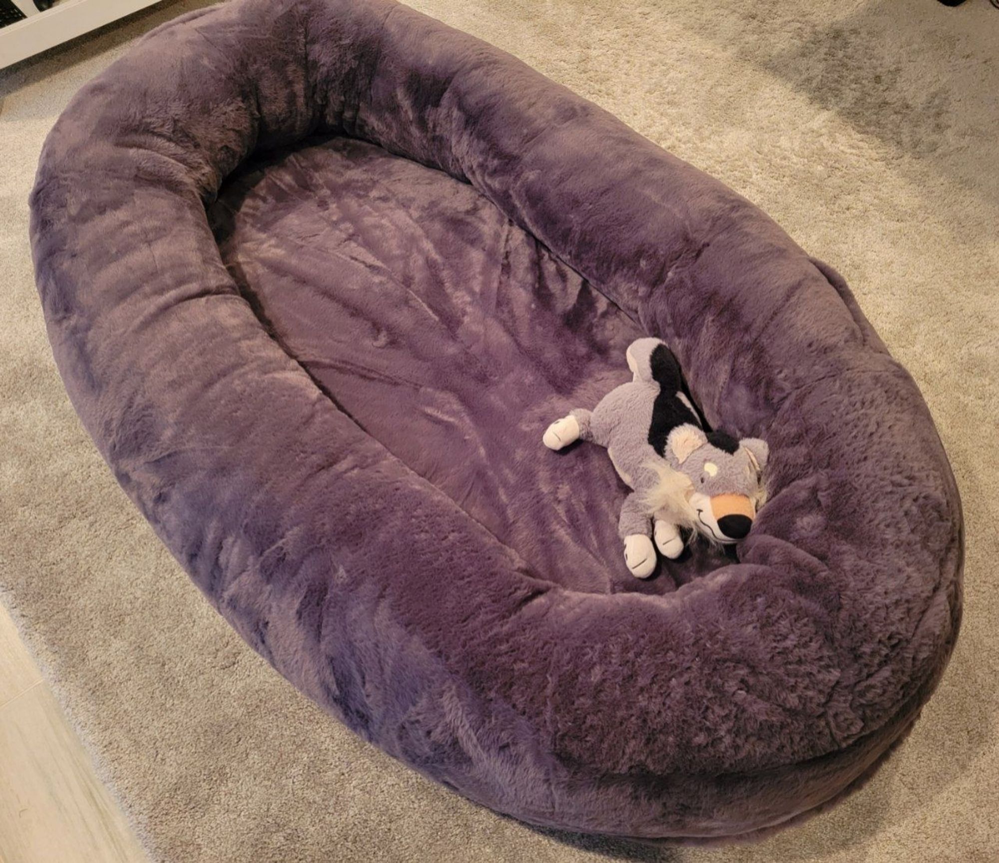 Photo of a human-sized dog bed with a small plush wolf inside