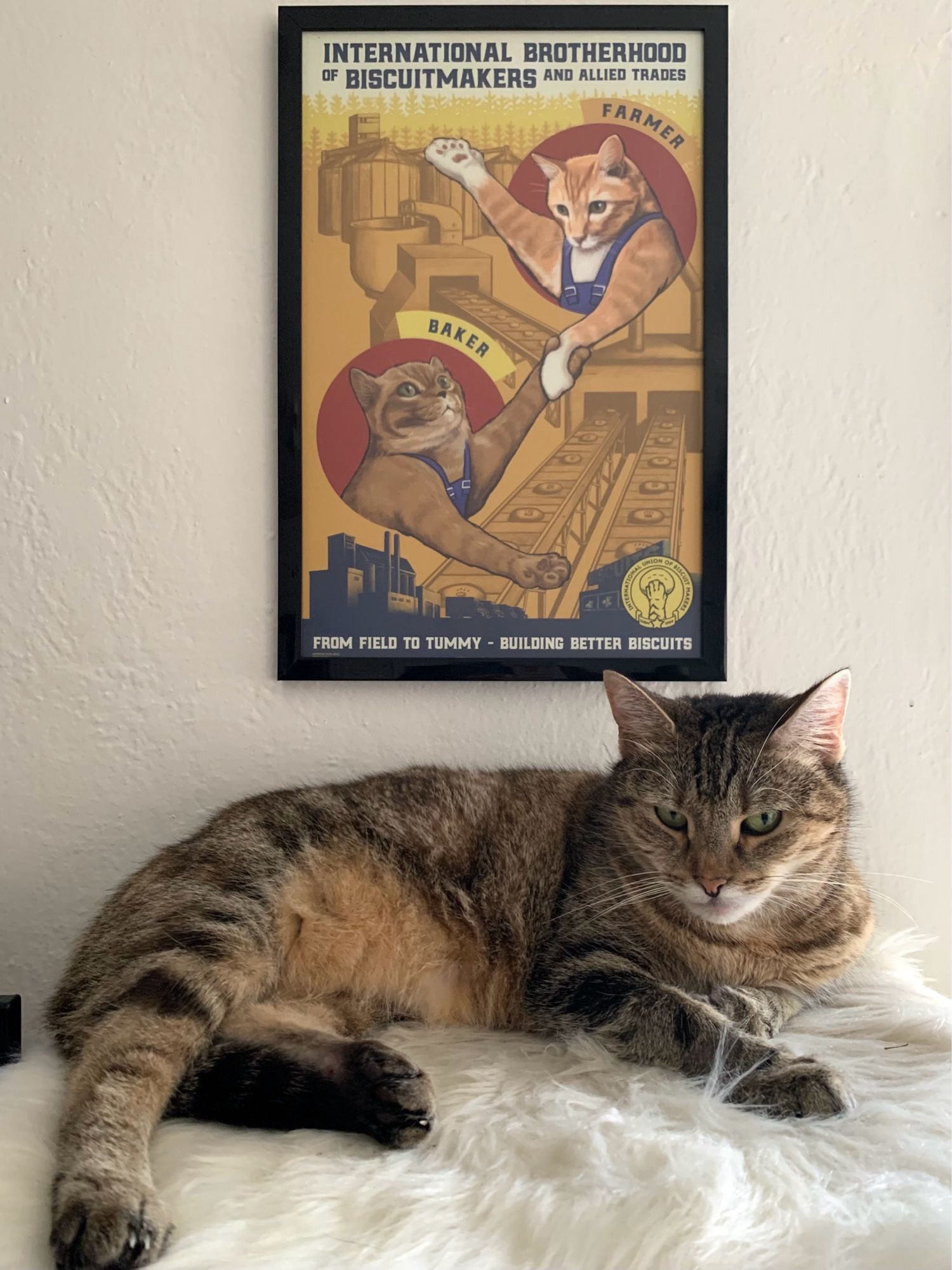 Photo of a vertical framed print above a tabby cat lounging on a white rug while staring at the camera. The artist describes the print as a “pastiche, soviet cat poster, inspired by left-wing and soviet posters of the 20th century. The full poster caption reads: ‘International Brotherhood of Biscuit Makers and Allied Trades, From Field to Tummy - Building Better Biscuits.” In it, two days in overalls can be seen shaking paws.