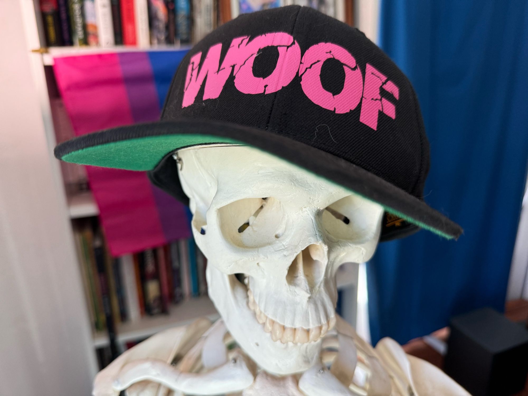 Photo of an anatomical skeleton model of seeing a black cap that says WOOF in pink letters. There’s a bookshelf behind with a bi flag on it