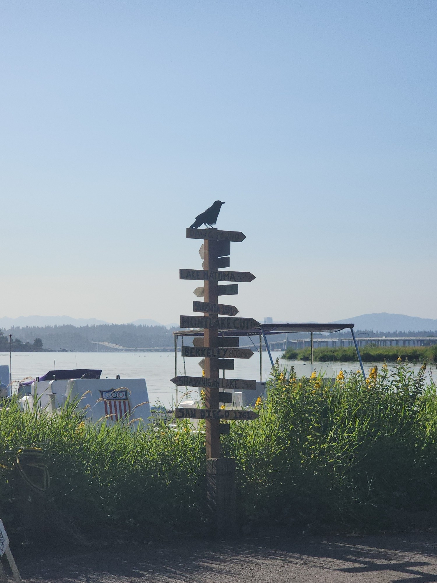 A crow perched atop a wooden sign that points in various directions. Behind the crow is Lake Washington.