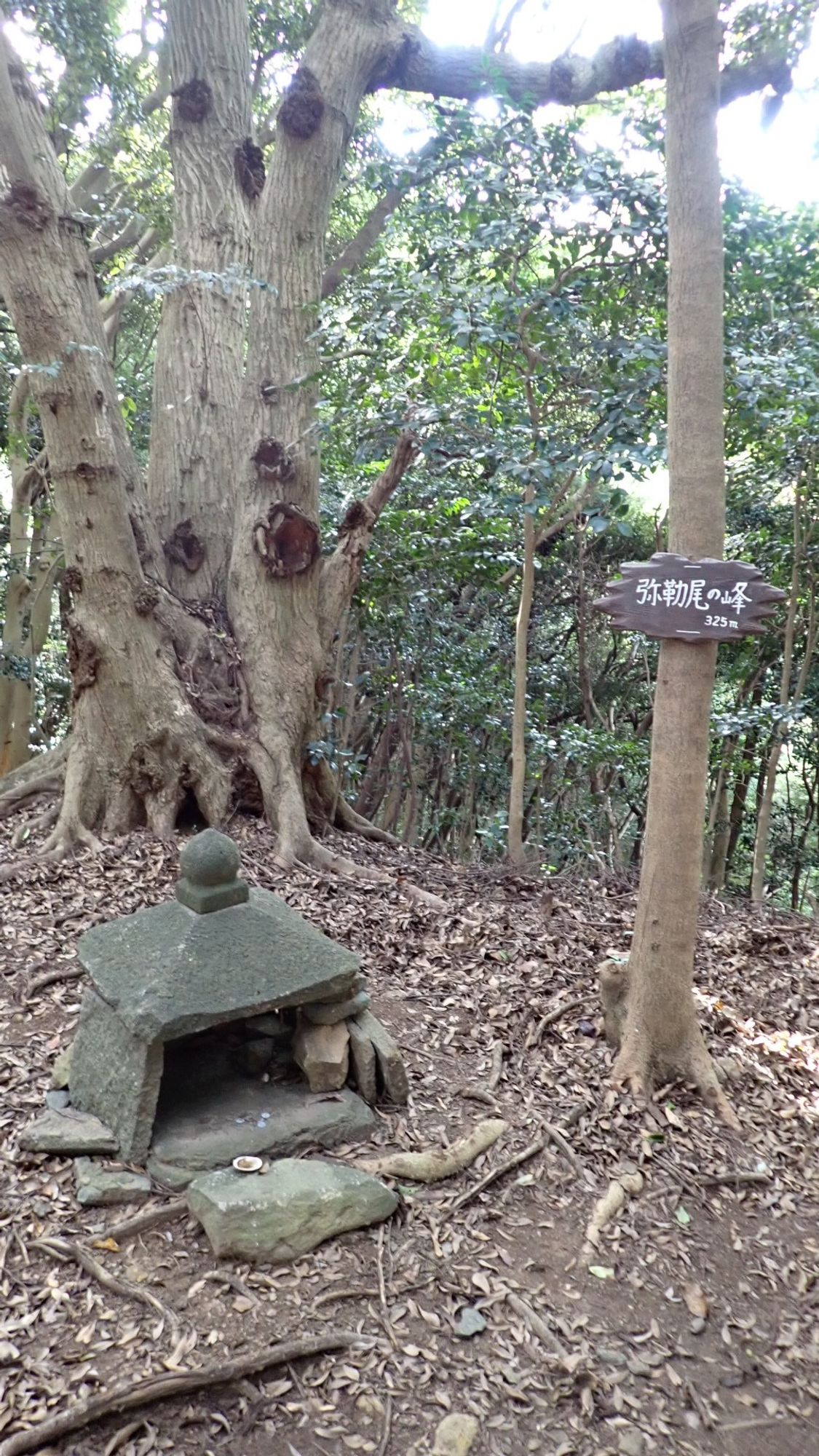 弥勒尾の峰