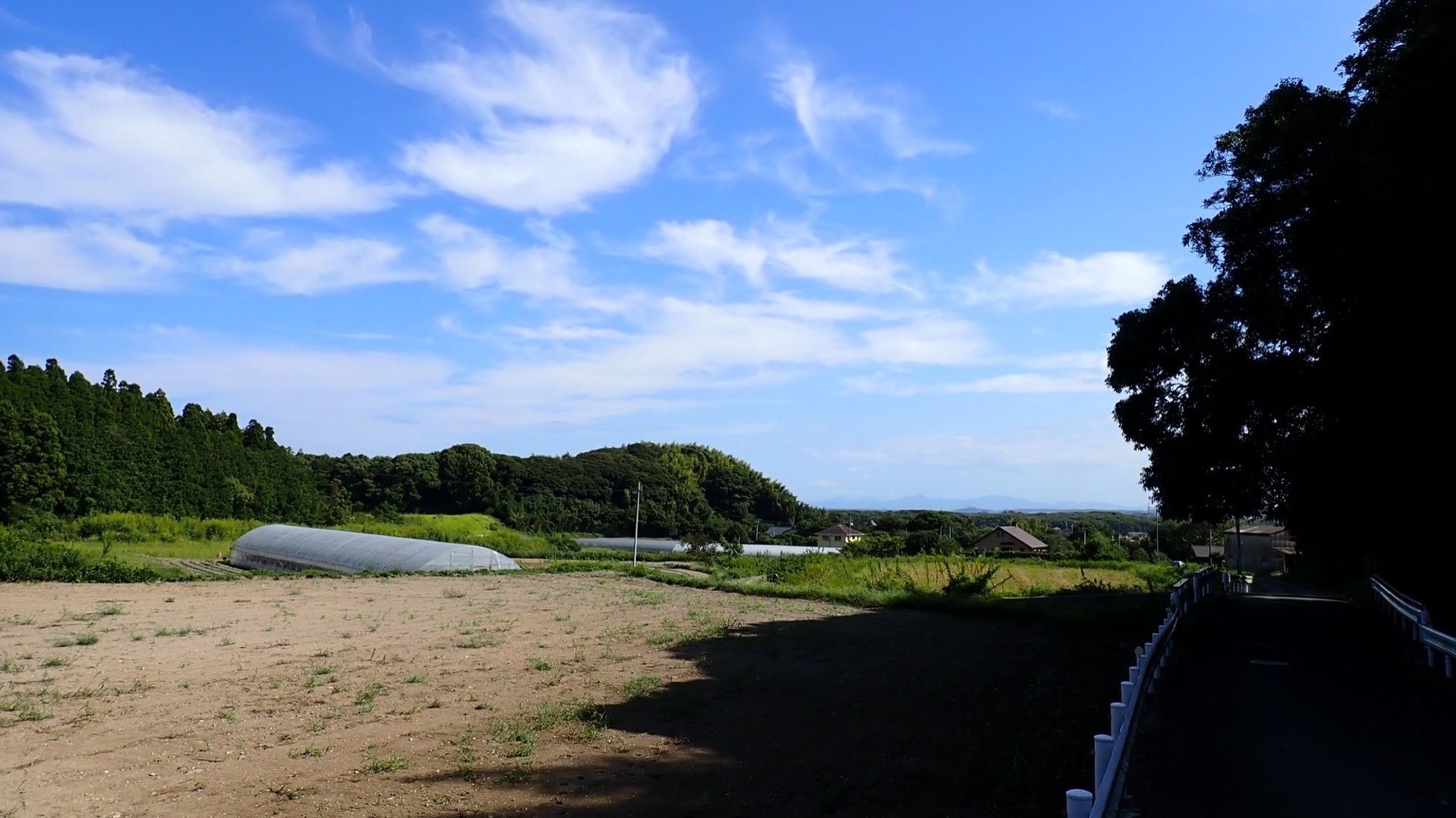 長閑な風景