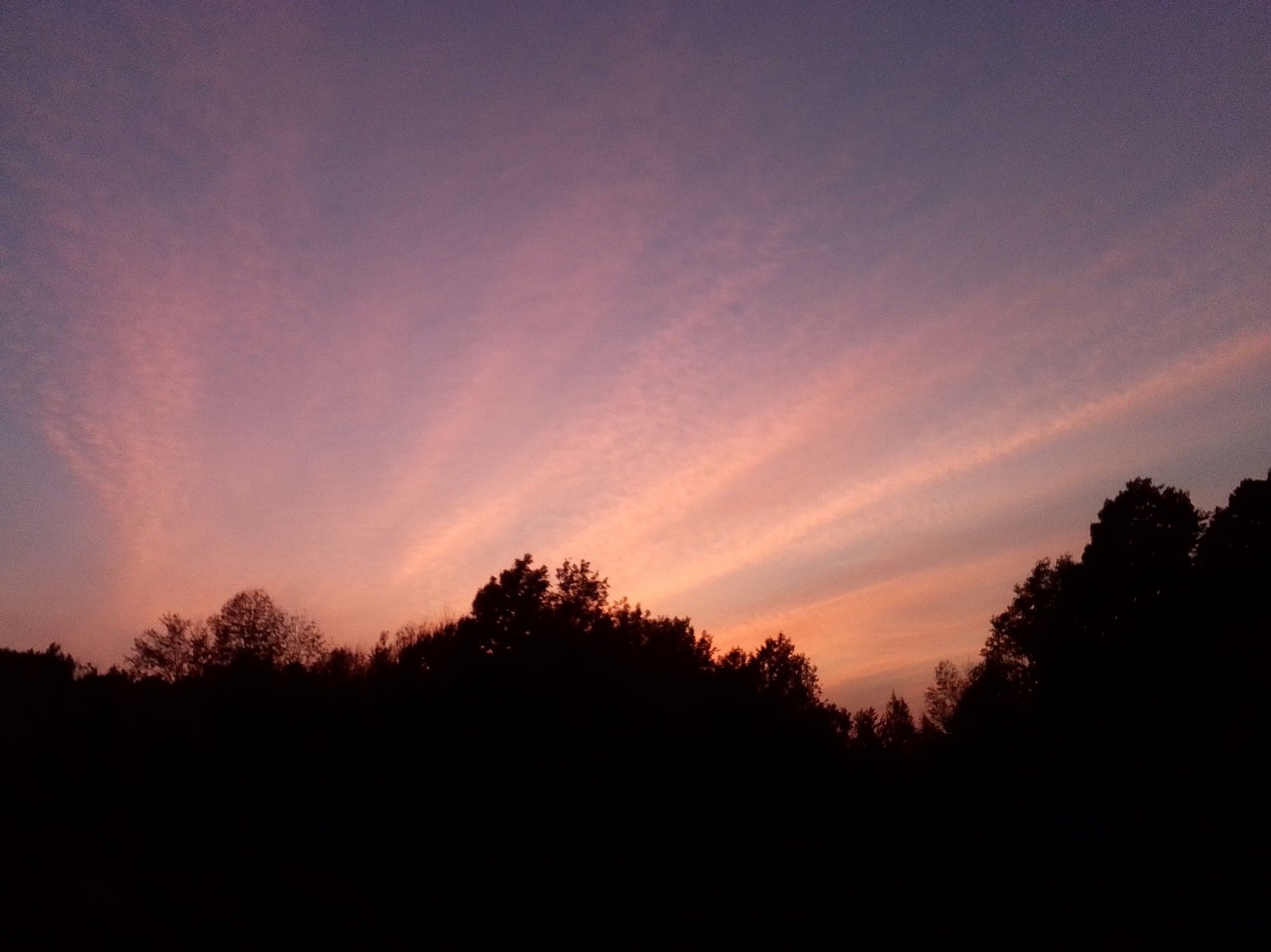 Sunset sky with some pink colors and clouds in lines