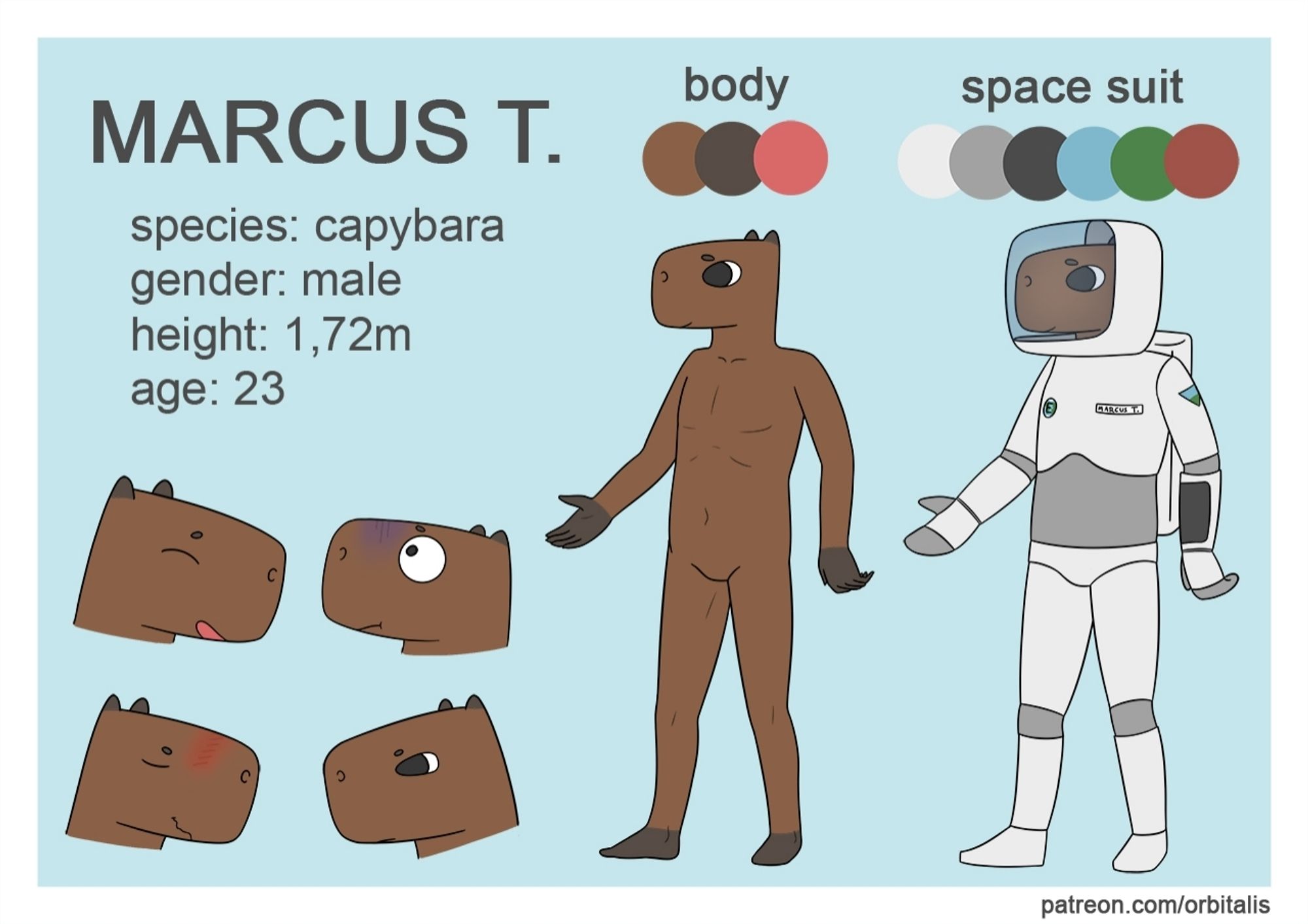 a reference sheet of a male capybara called Marcus