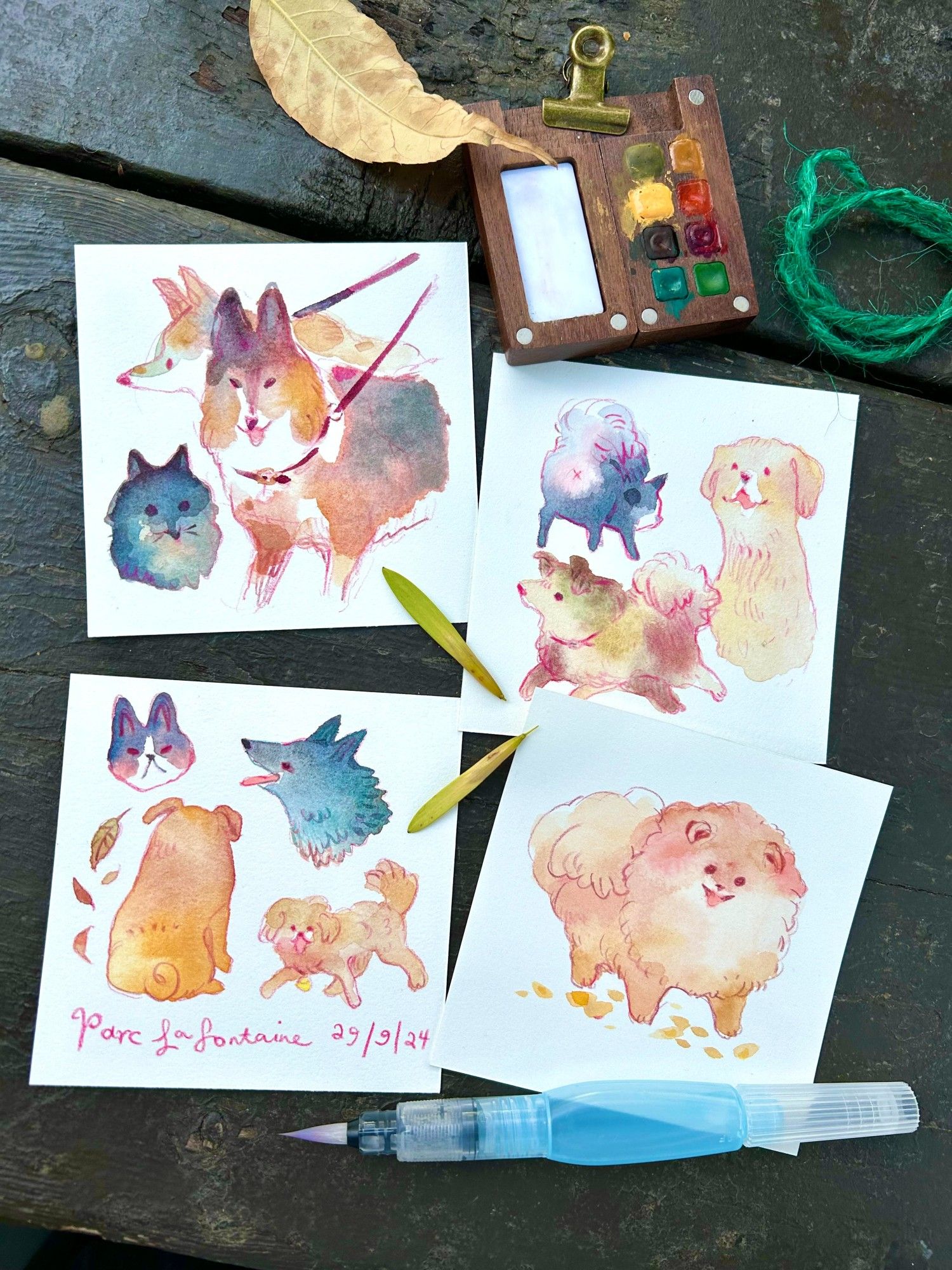 watercolor dog sketches