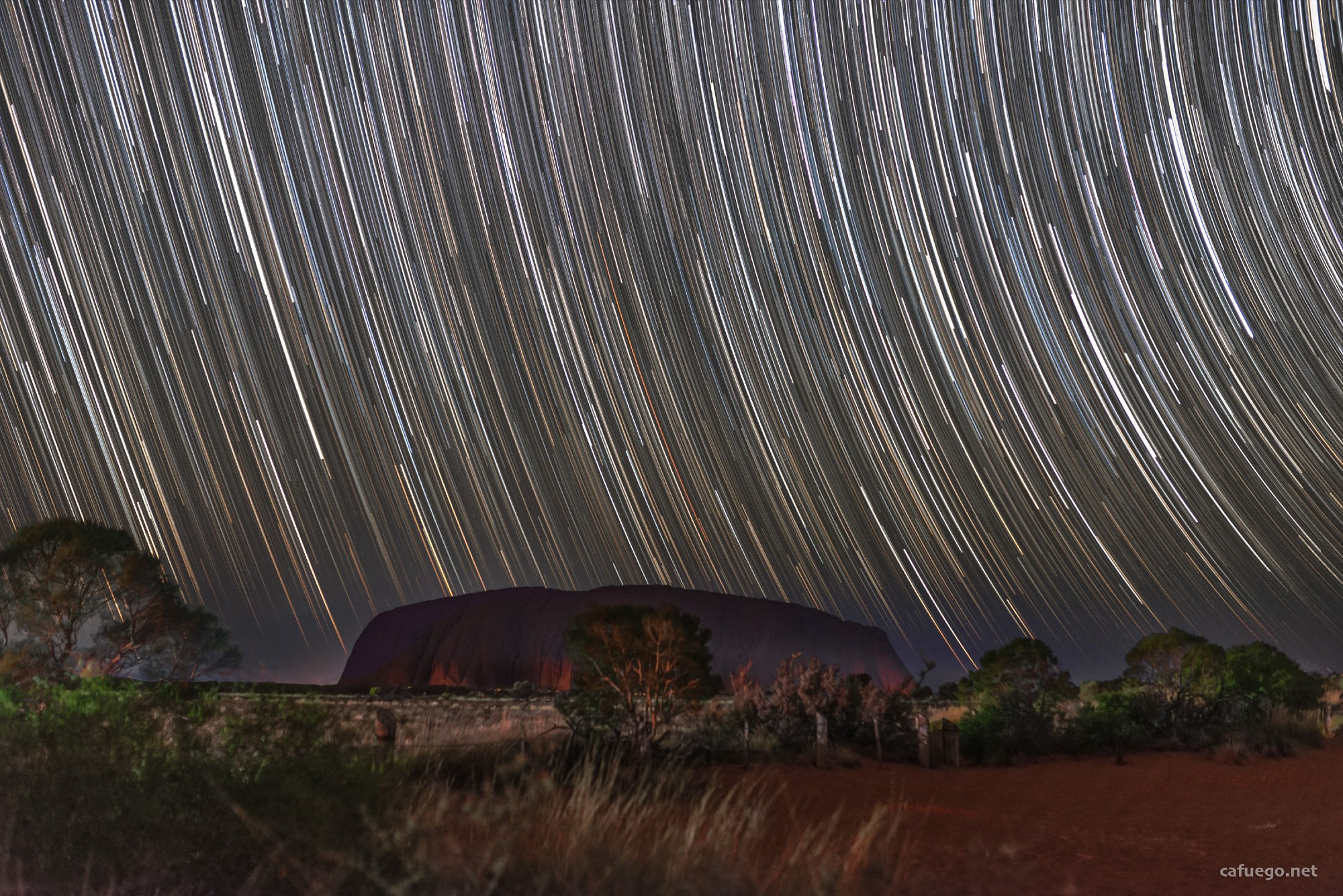 Looking out across the red Earth that is covered in nearby bushes and a few trees nearby. In the distance is the monolithic geological structure known as Uluru. The sky is covered in star trails that form arcs as a result of the long exposure photography.