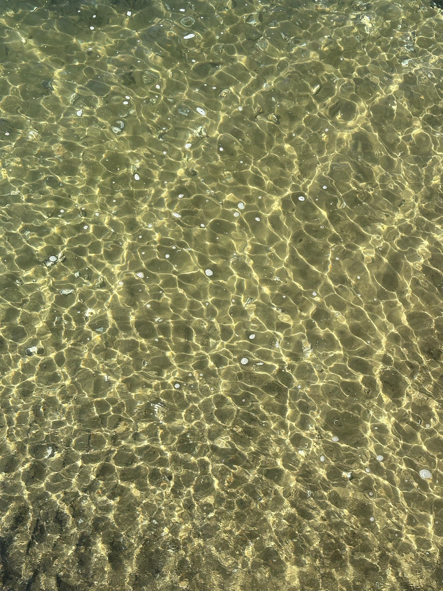 Looking down at a pool of water that has sun light in many ribbons of dark and bright patches, as a result of the surface variations on this body of water, causing the light to be refracted to produce bright ribbons and darker blobs. This is an optics effect that is similar to scintillation.