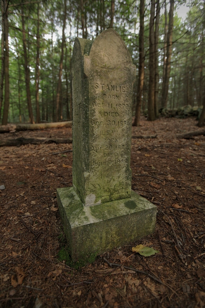 A moss-covered four-sided grave marker with the names of five children on its sides in the Fowler Burying Ground in the former Trapps Hamlet. The side facing the camera has the names of Stanley and Levi. They all died within a few years in the 1880s. Photo from Abandoned NYC.