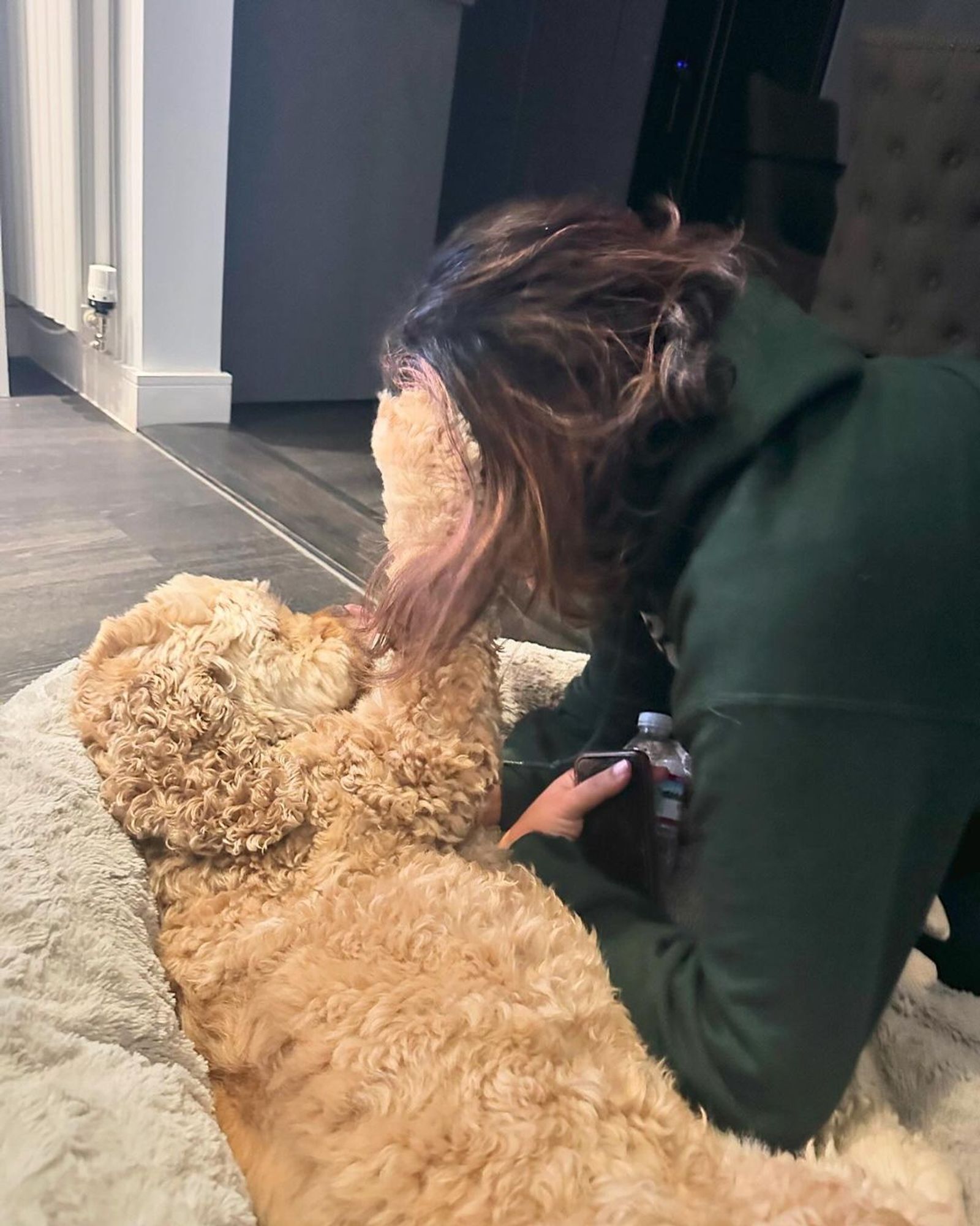 A blonde cocker spaniel petting me